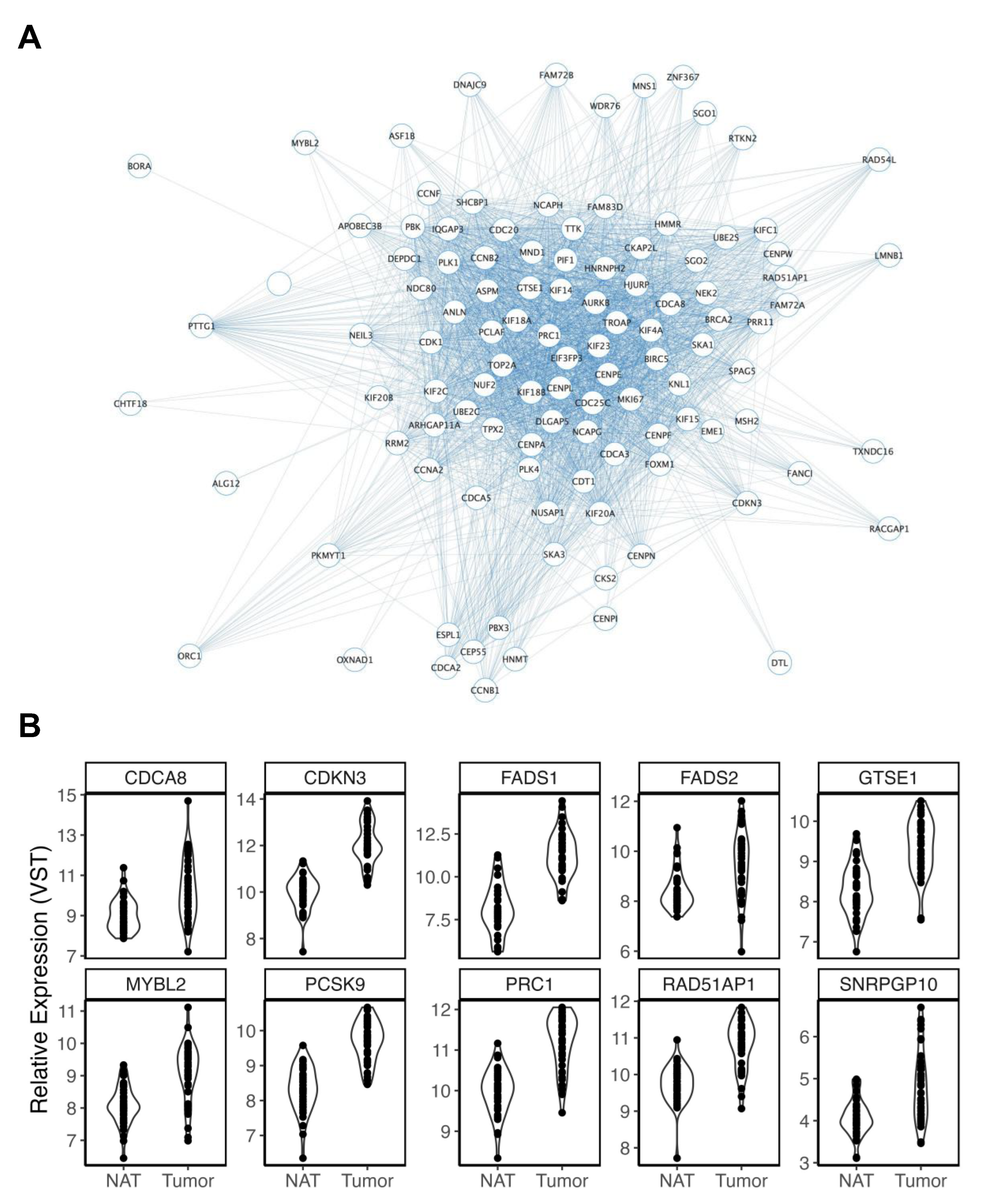 Cancers 15 03550 g004