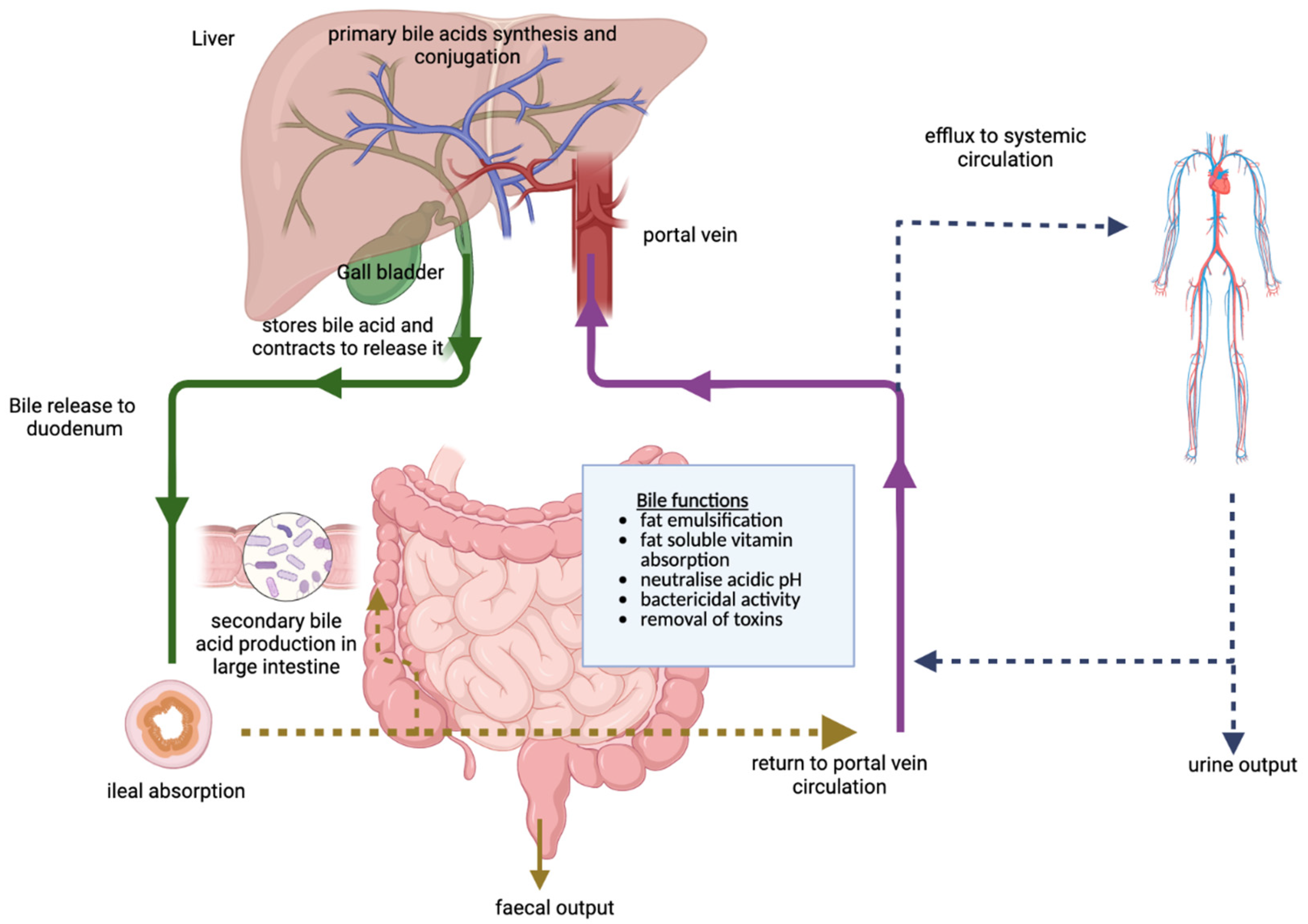 Cancers 15 03573 g002 Cancers 15 03573 g002