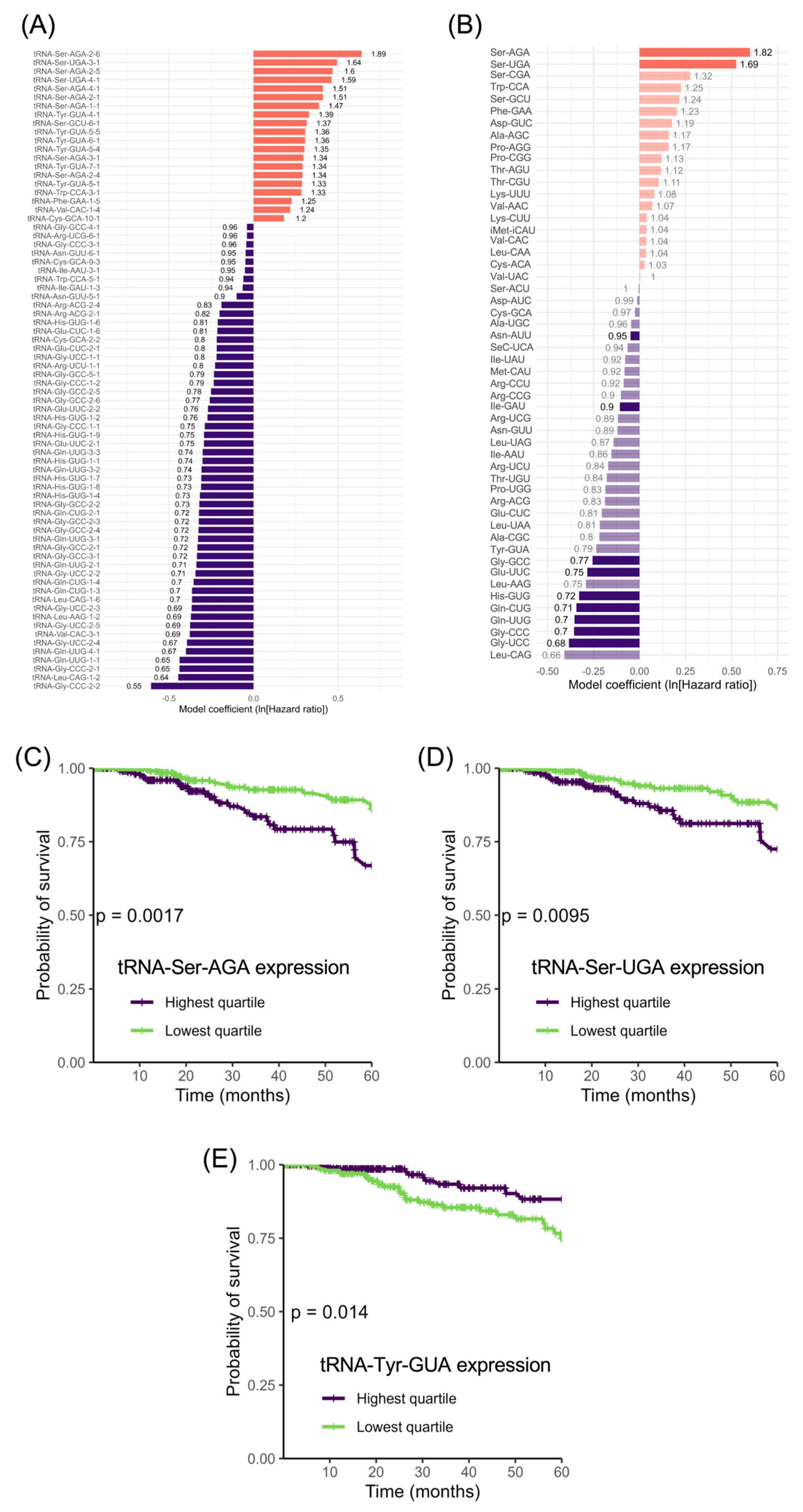 Cancers 15 03576 g008 Cancers 15 03576 g008