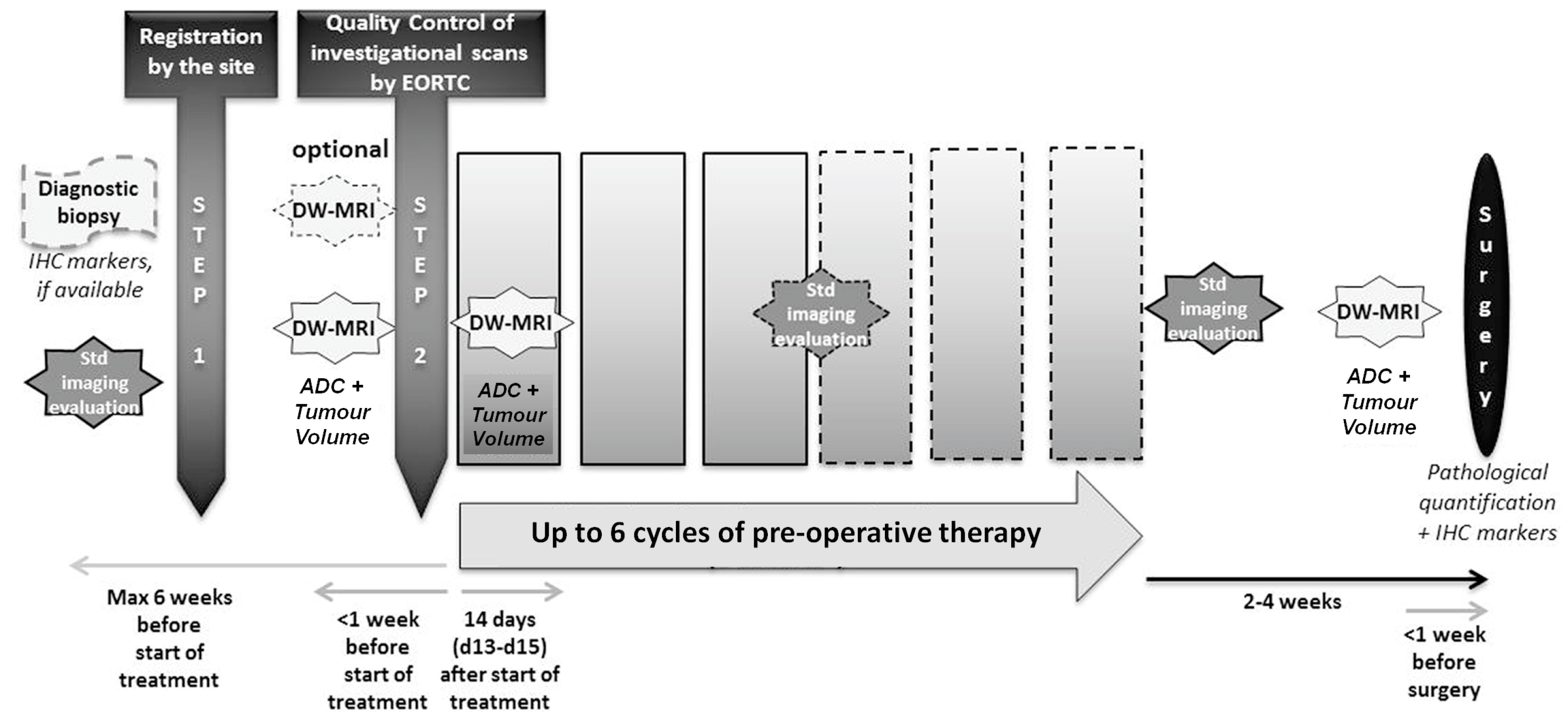 Cancers 15 03580 g001