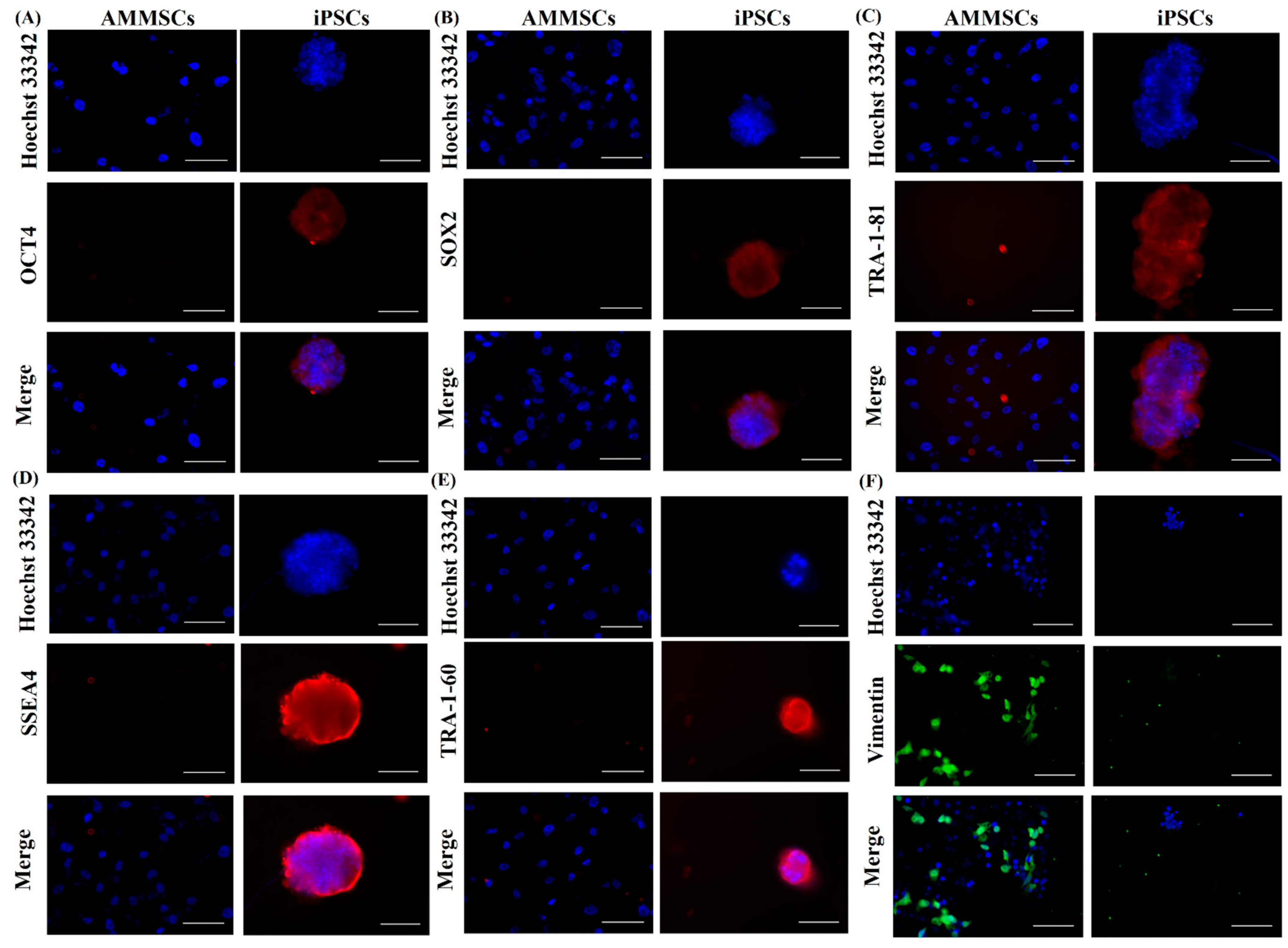 Cancers 15 03622 g002 Cancers 15 03622 g002