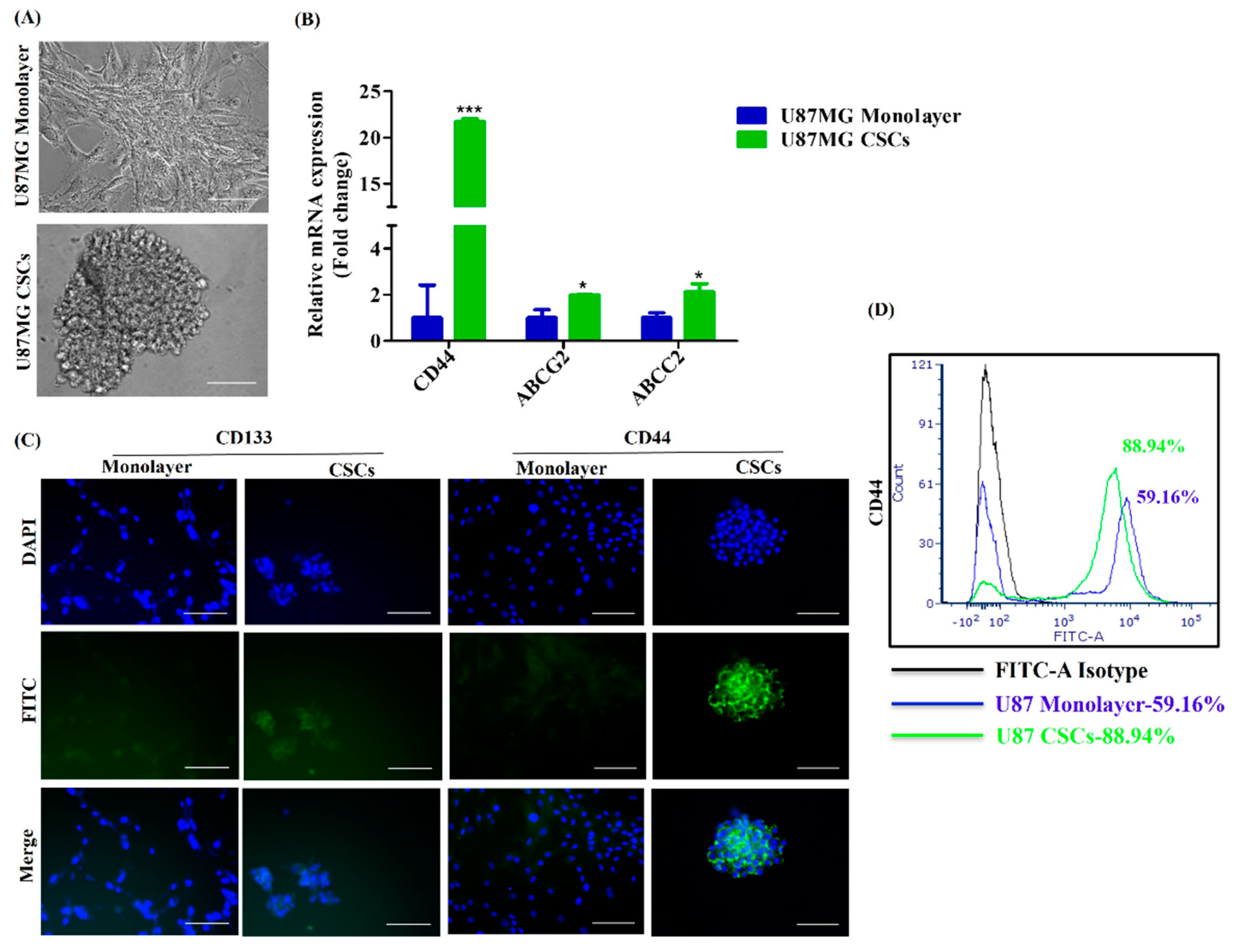 Cancers 15 03622 g004 Cancers 15 03622 g004