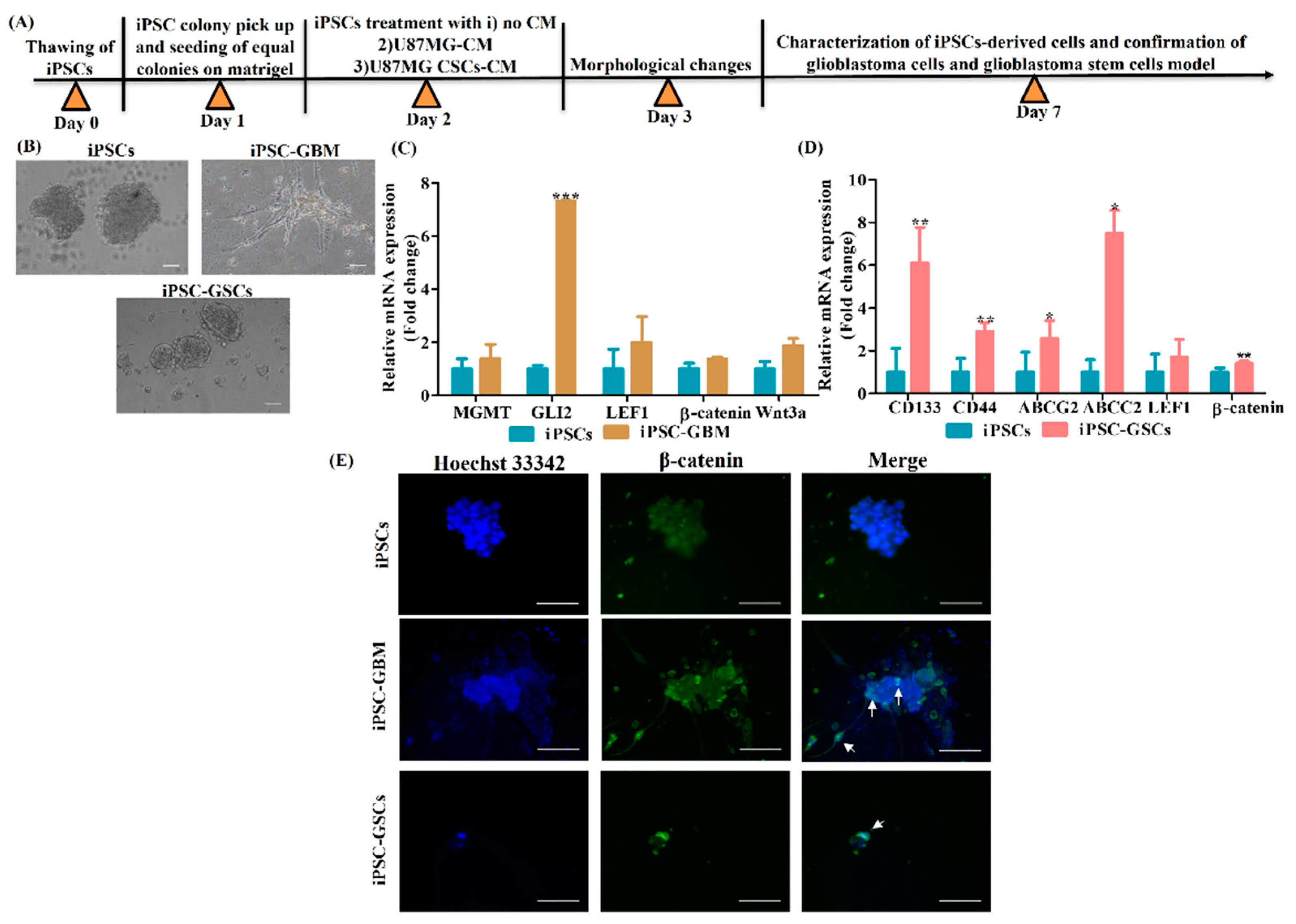 Cancers 15 03622 g005 Cancers 15 03622 g005