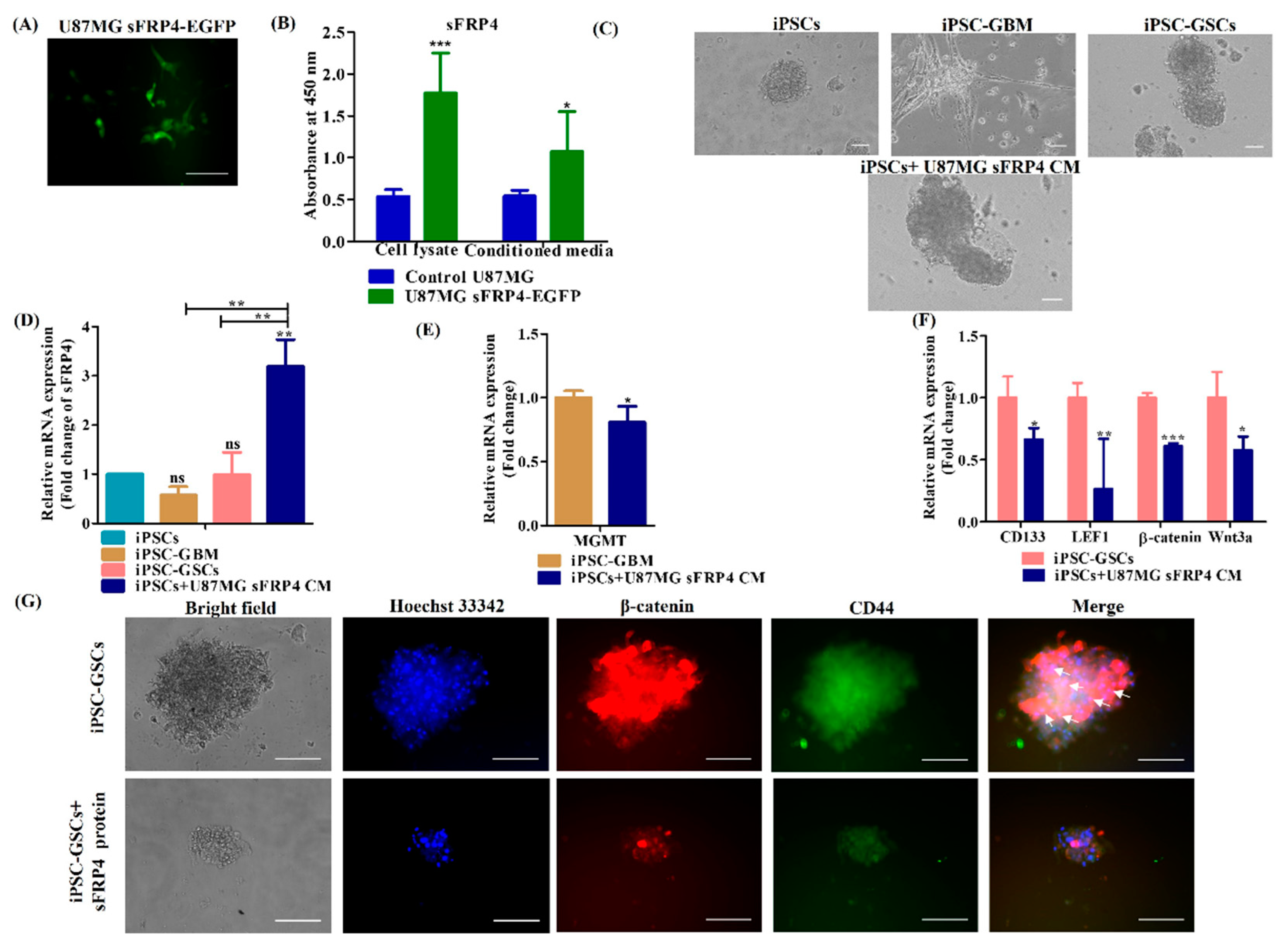 Cancers 15 03622 g006 Cancers 15 03622 g006