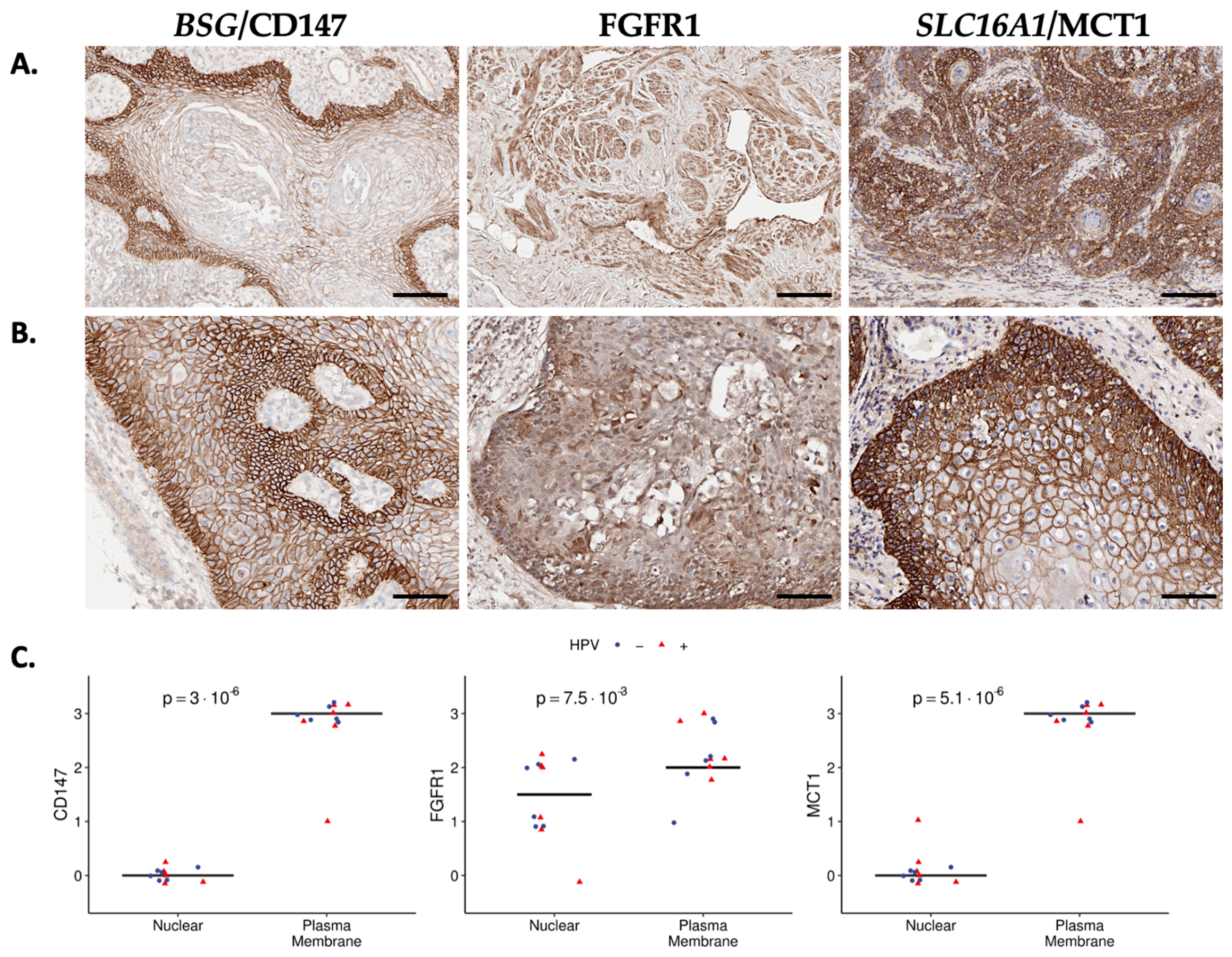 Cancers 15 03636 g003