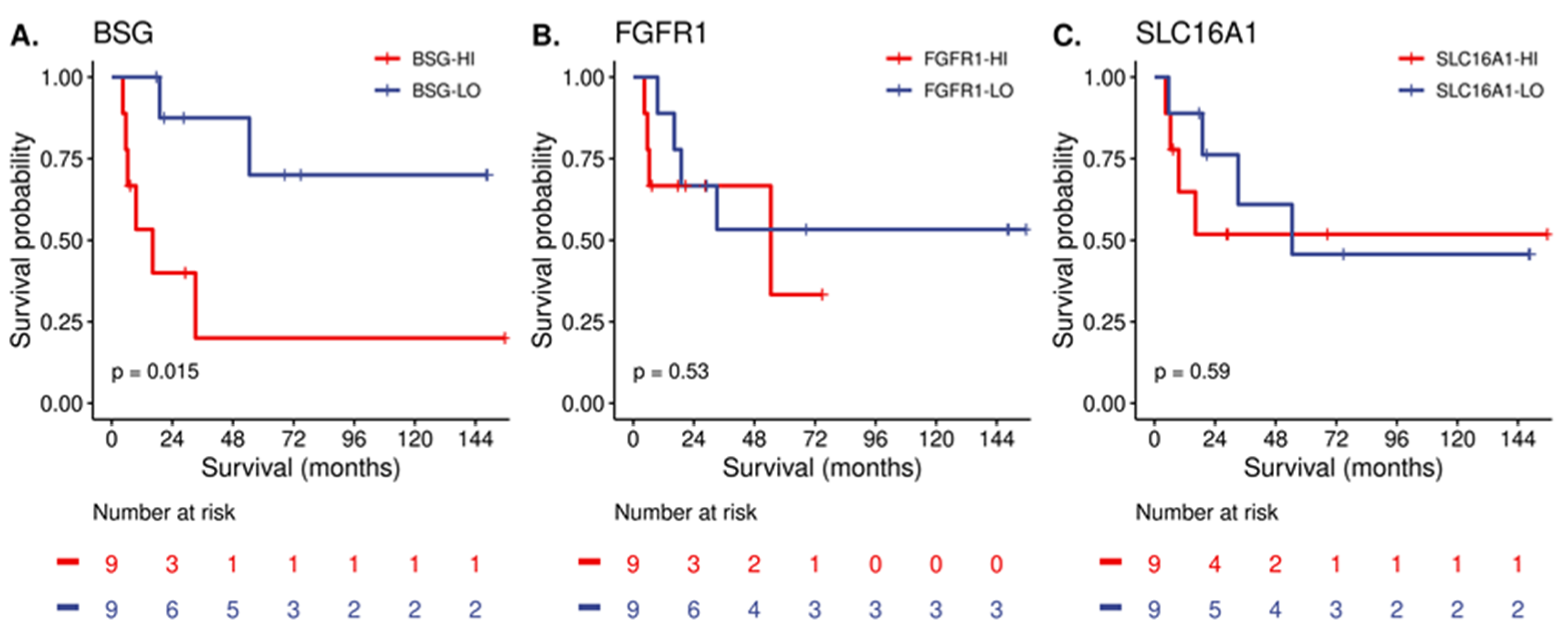 Cancers 15 03636 g004