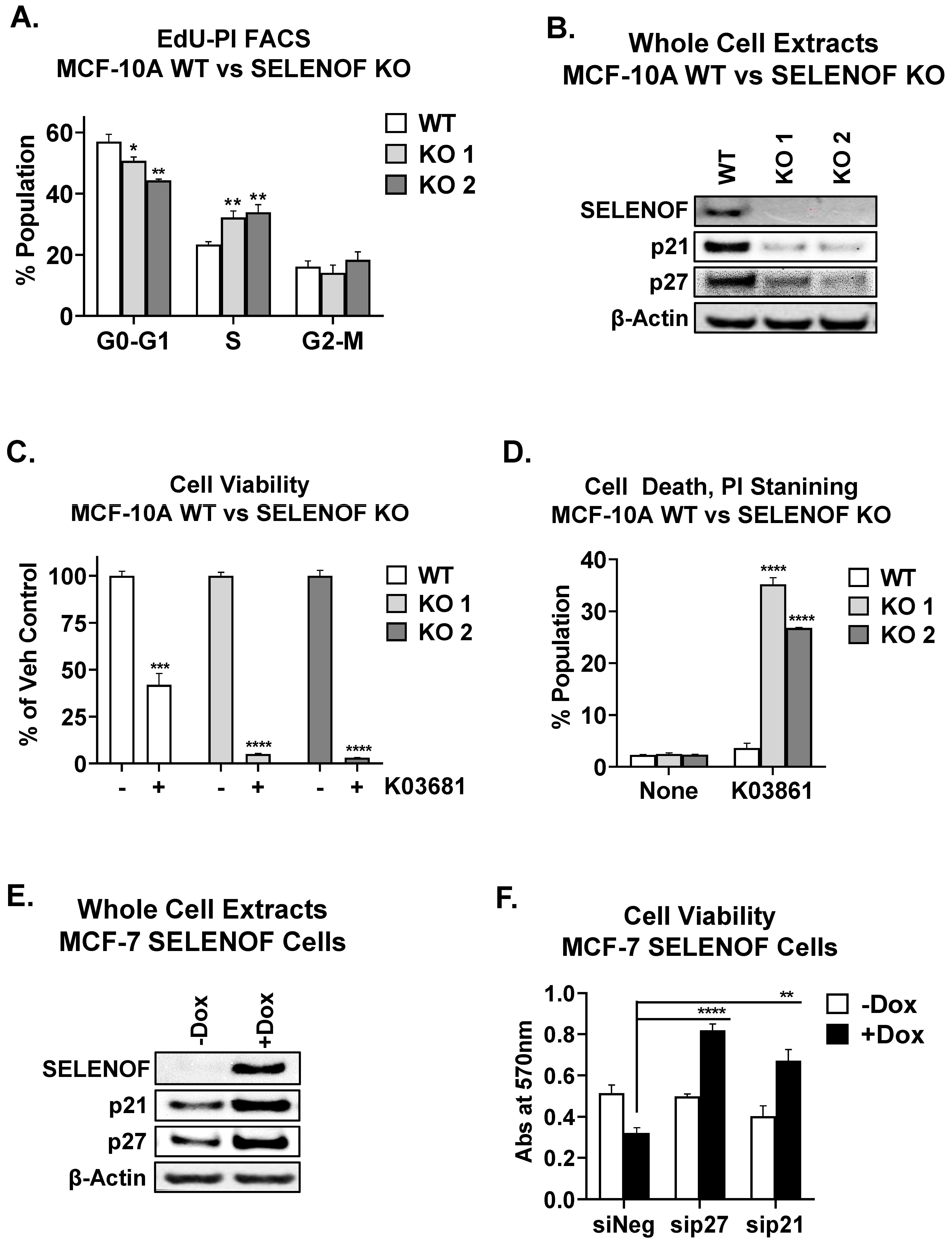 Cancers 15 03671 g003