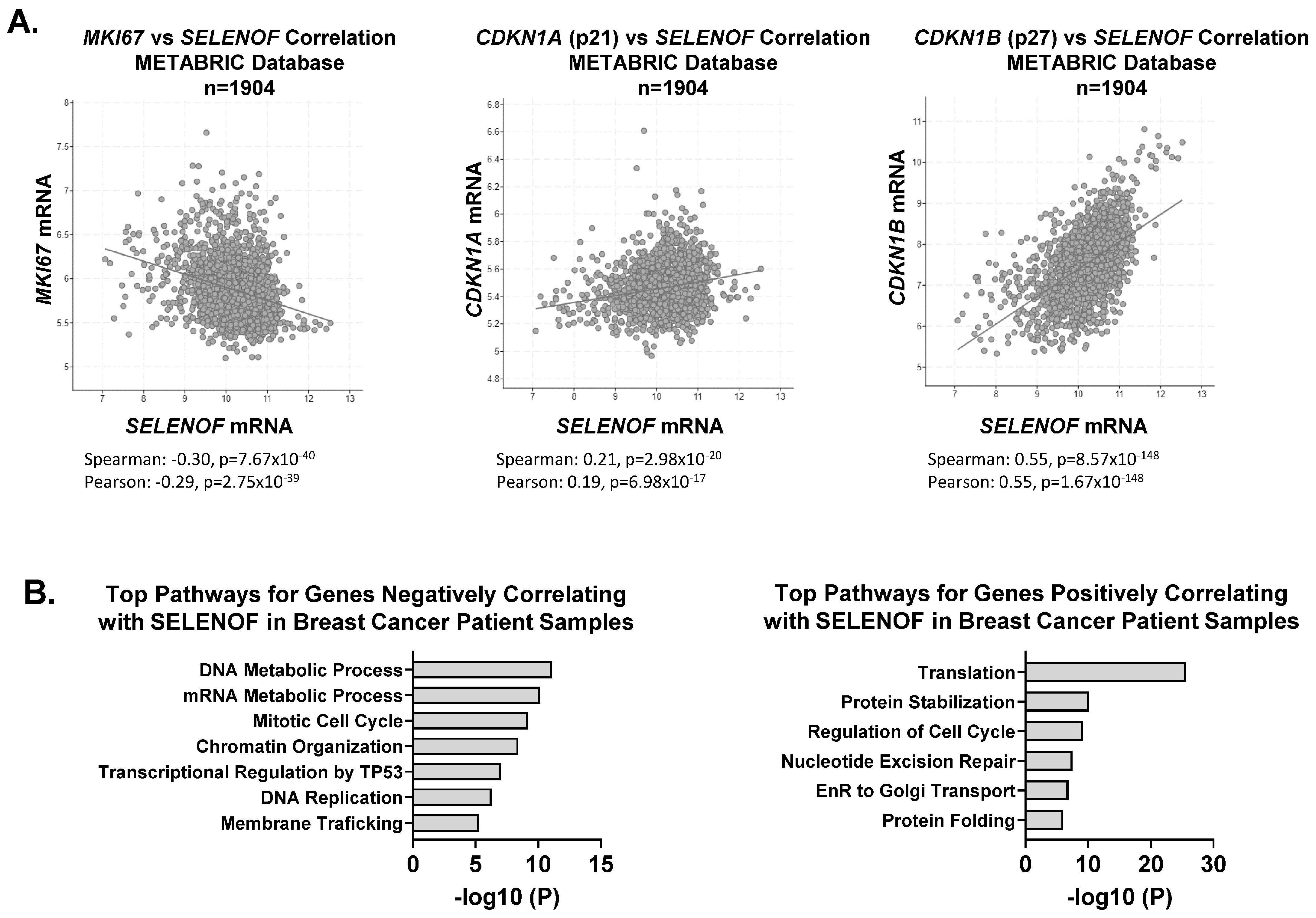 Cancers 15 03671 g004