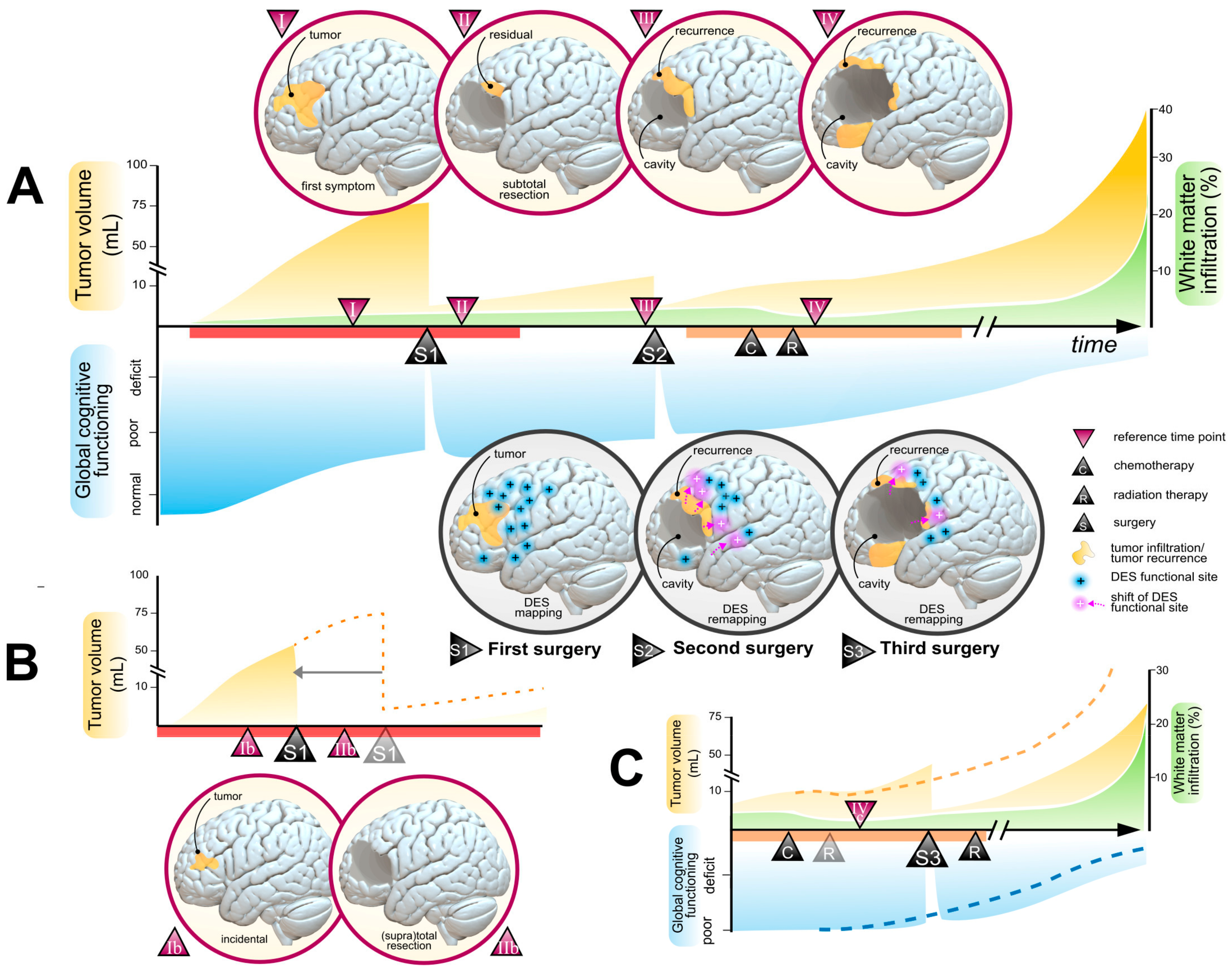 Cancers 15 03698 g002 Cancers 15 03698 g002