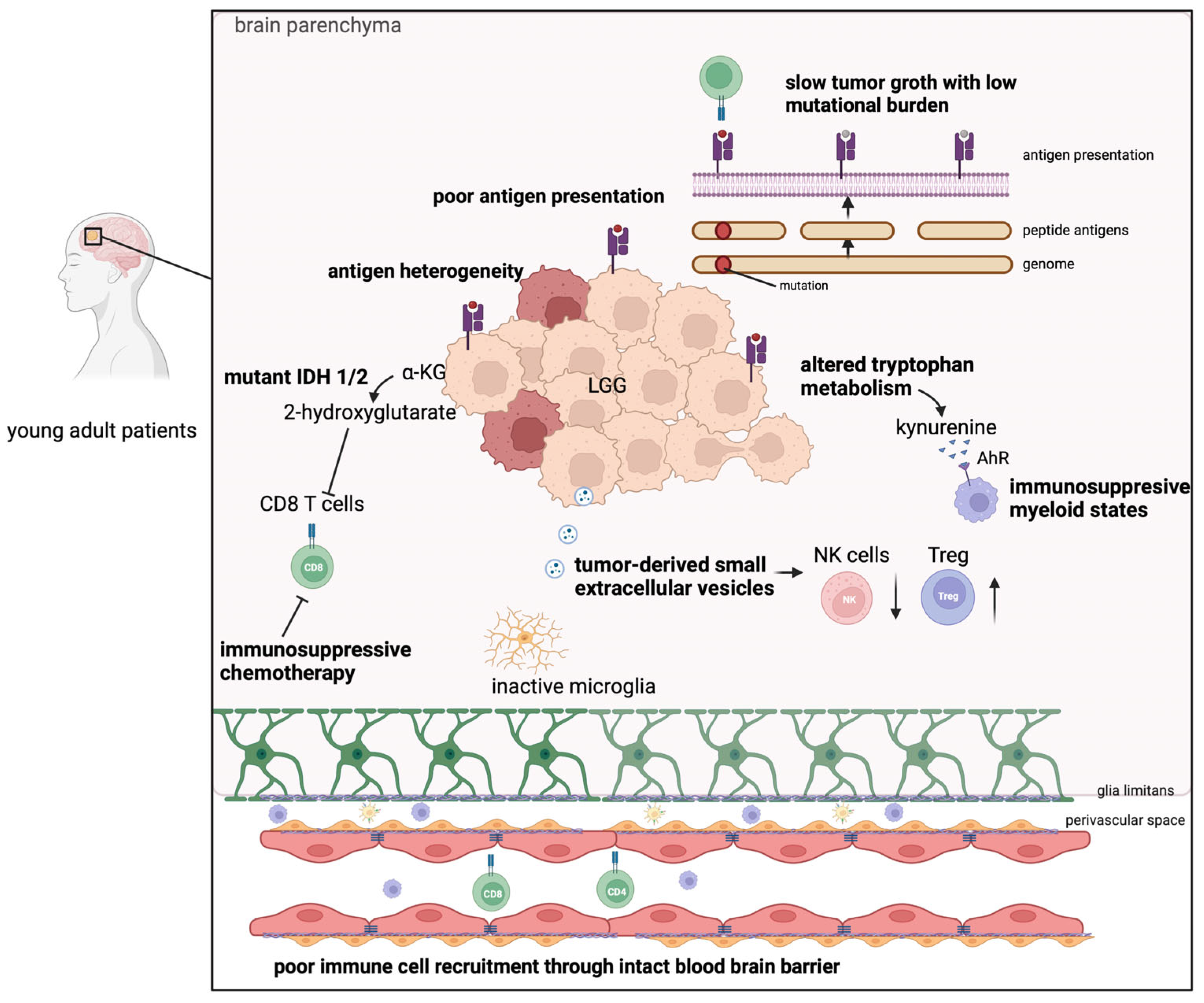 Cancers 15 03726 g001 Cancers 15 03726 g001