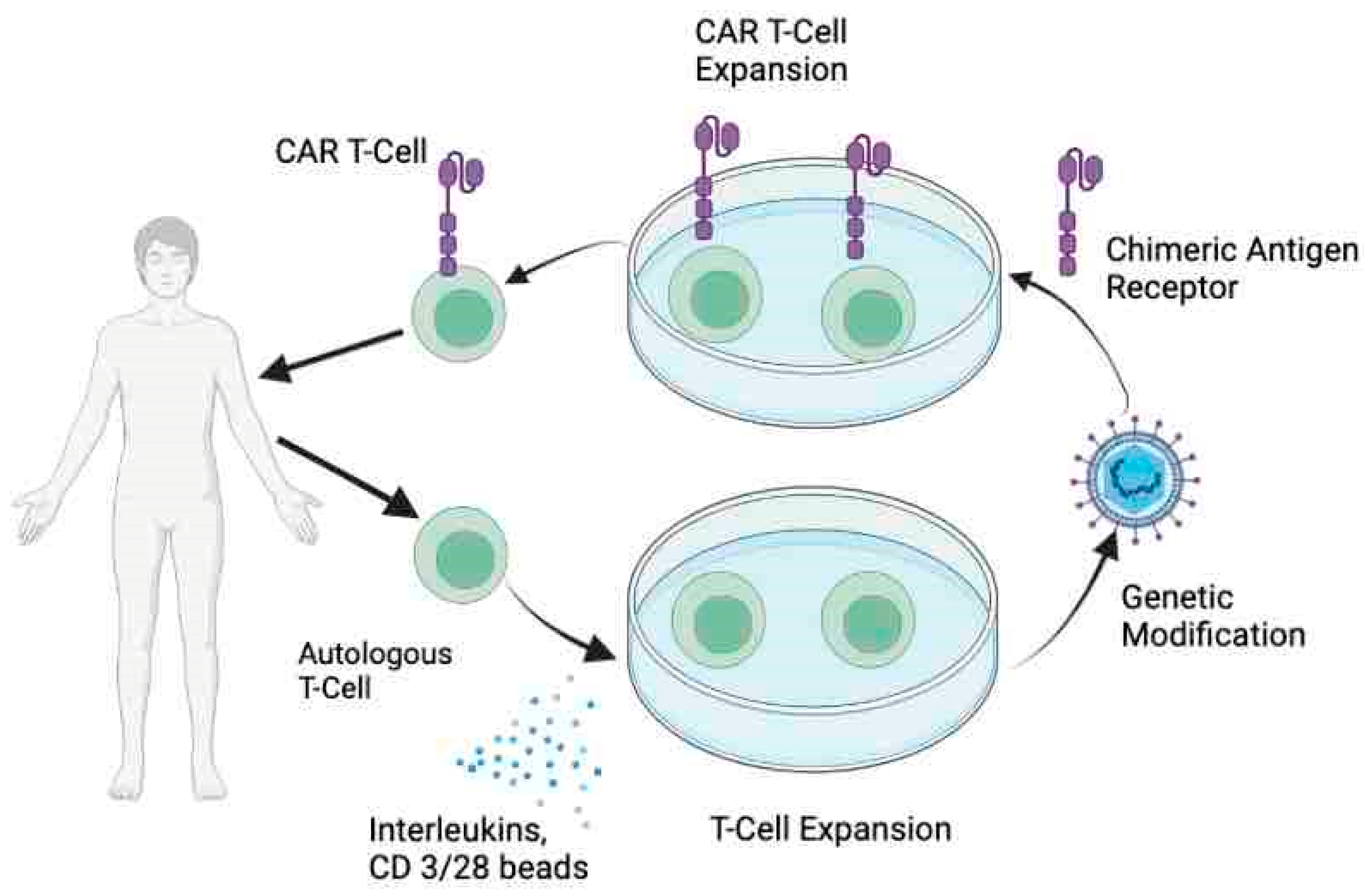 Highly efficient PD-1-targeted CRISPR-Cas9 for tumor-infiltrating  lymphocyte-based adoptive T cell therapy: Molecular Therapy - Oncolytics