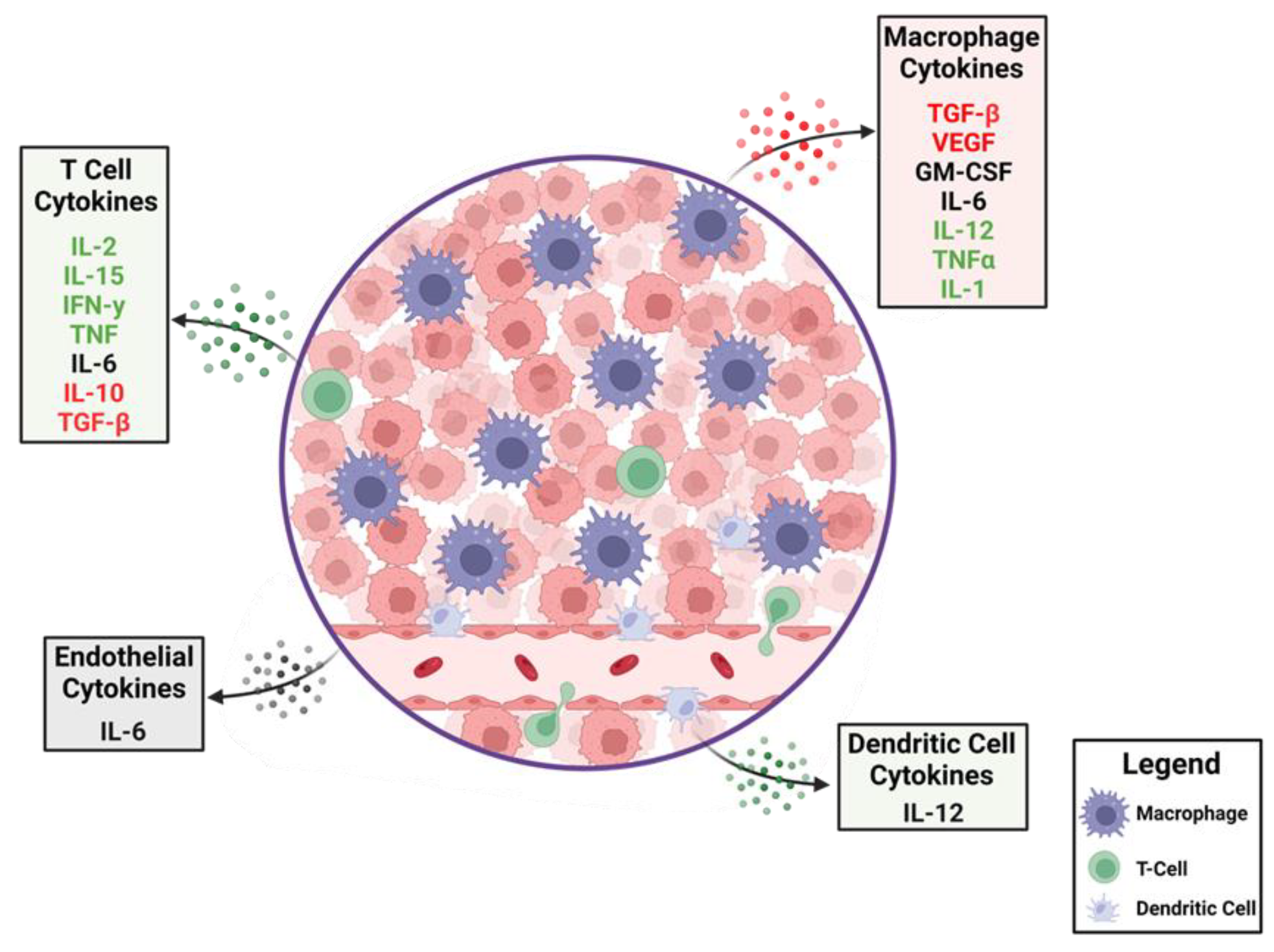 Cancers 15 03739 g001 Cancers 15 03739 g001