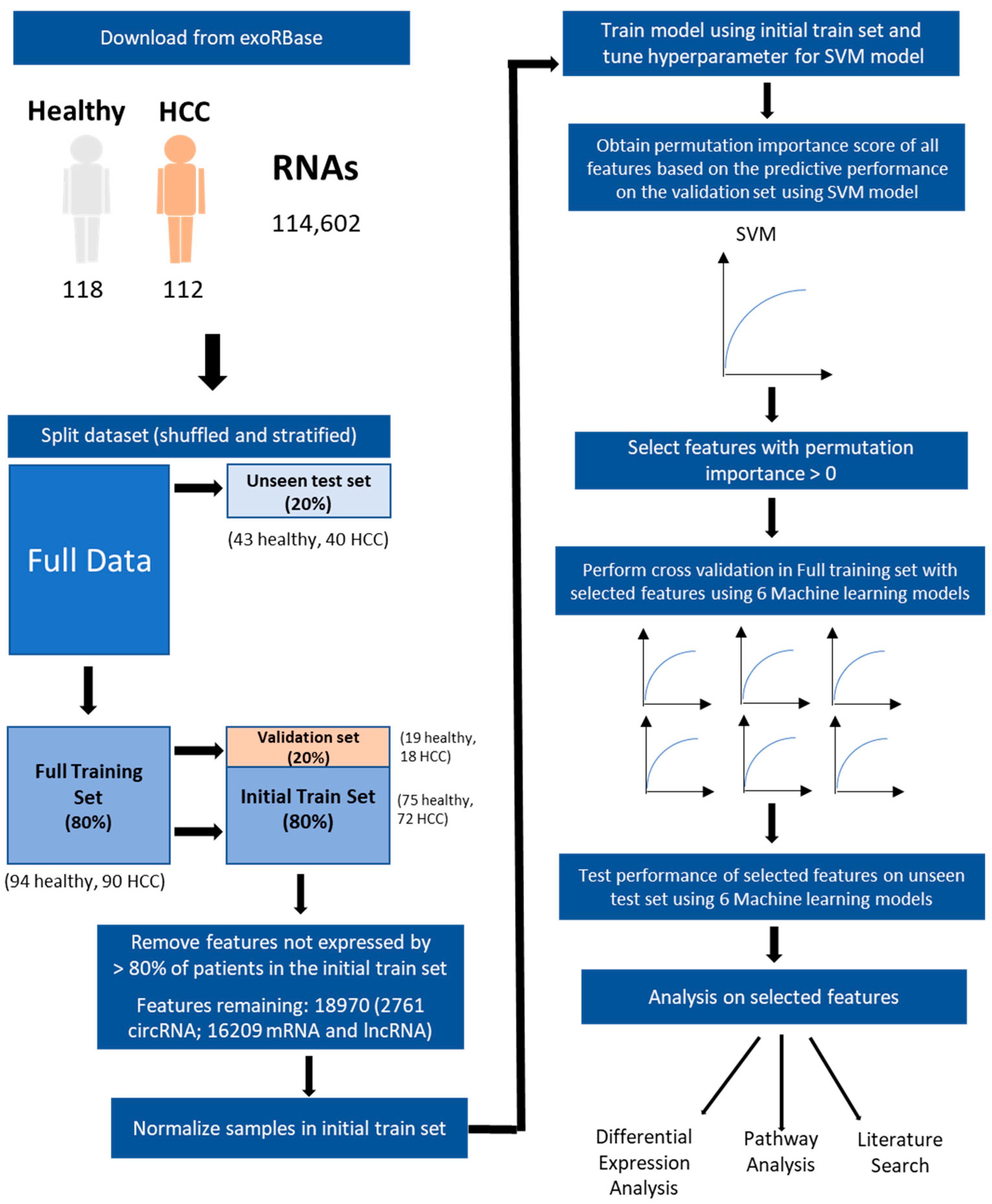 Cancers 15 03749 g001