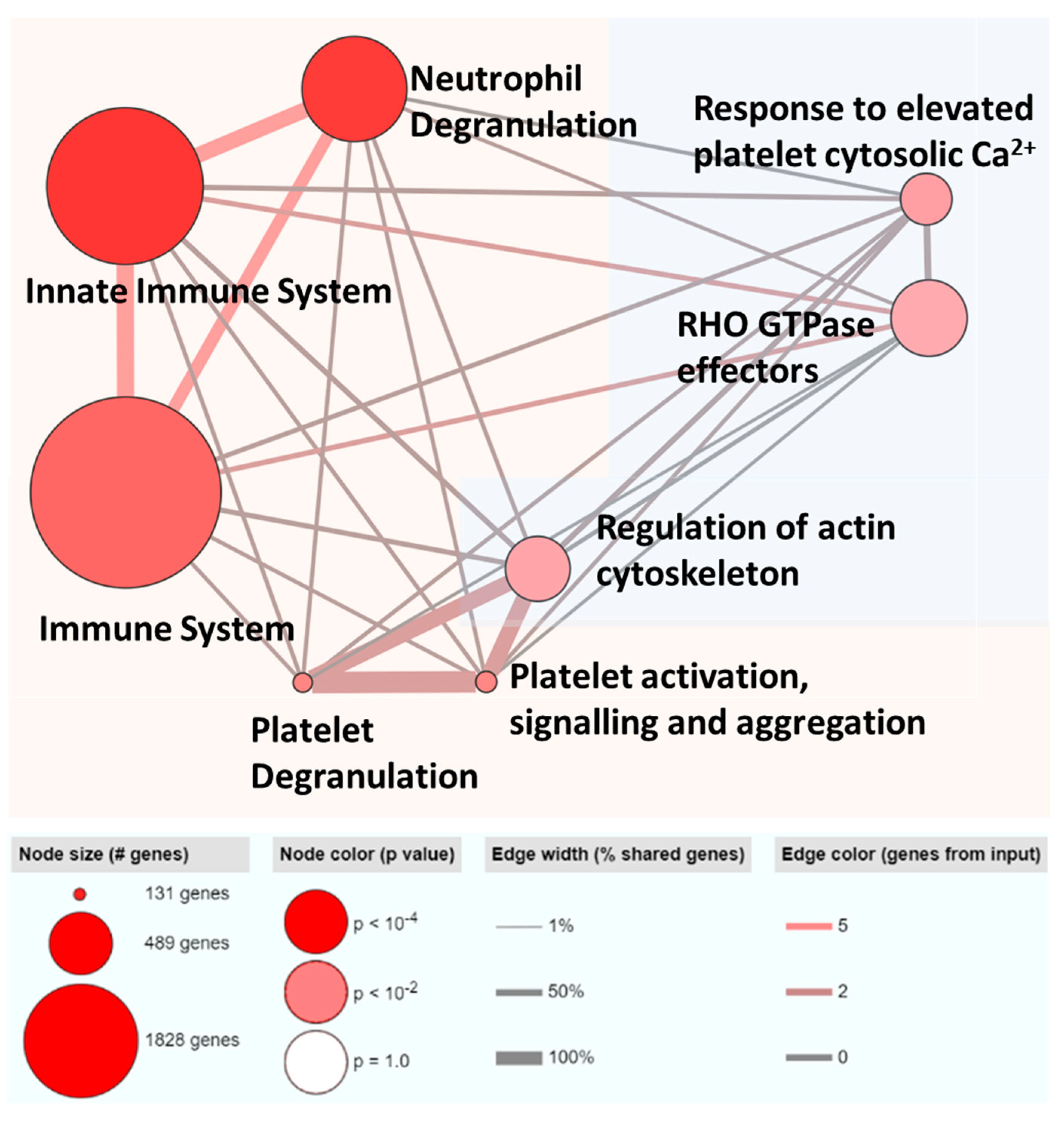Cancers 15 03749 g004
