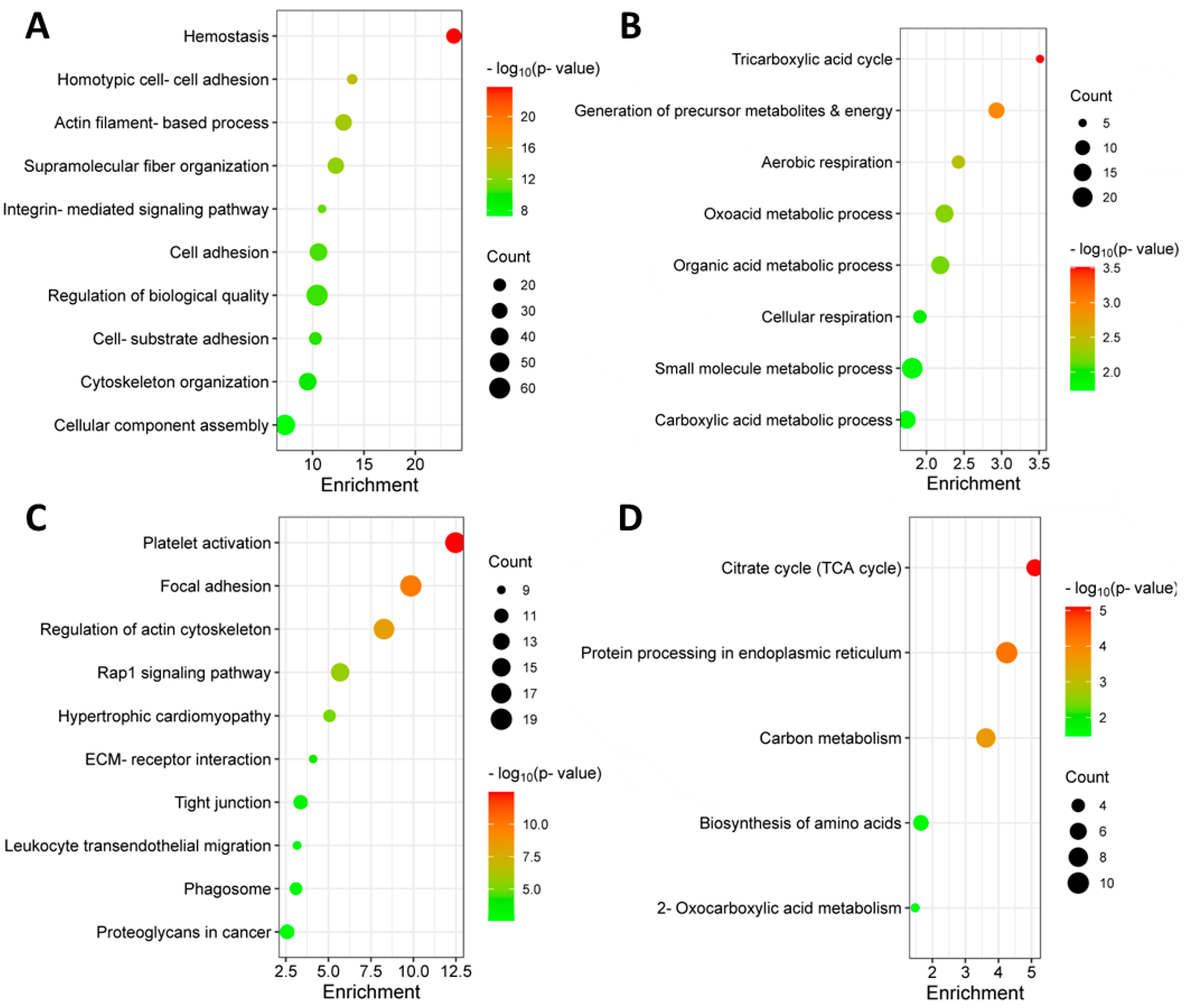 Cancers 15 03764 g002