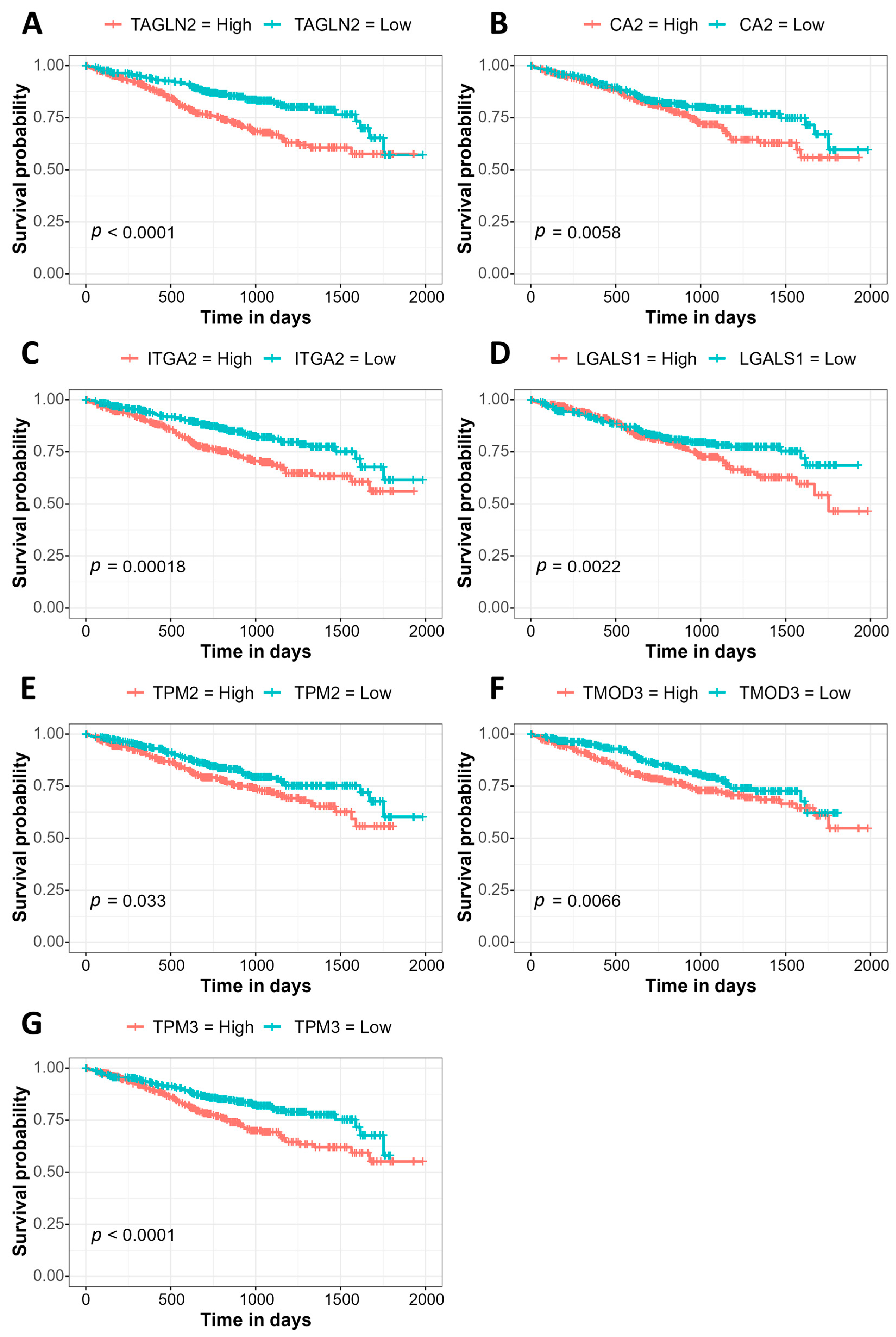 Cancers 15 03764 g003