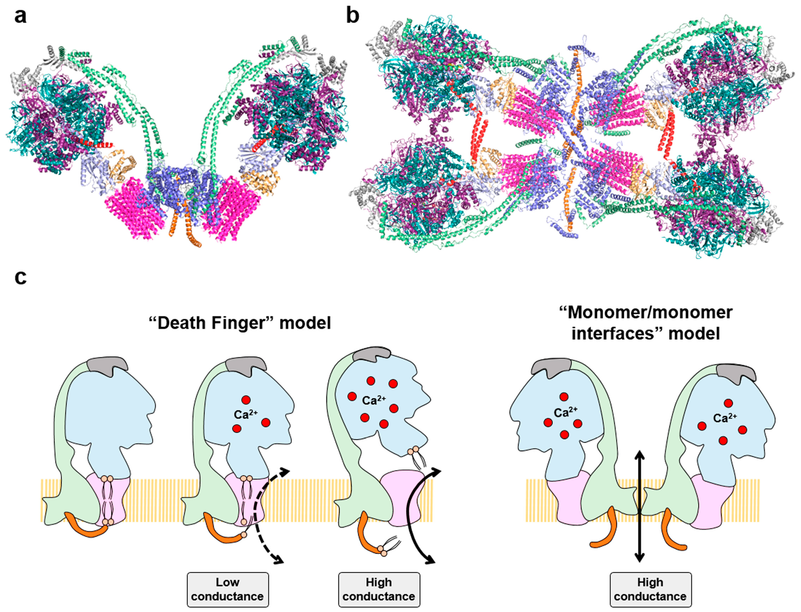 https://www.mdpi.com/cancers/cancers-15-03775/article_deploy/html/images/cancers-15-03775-g004.png