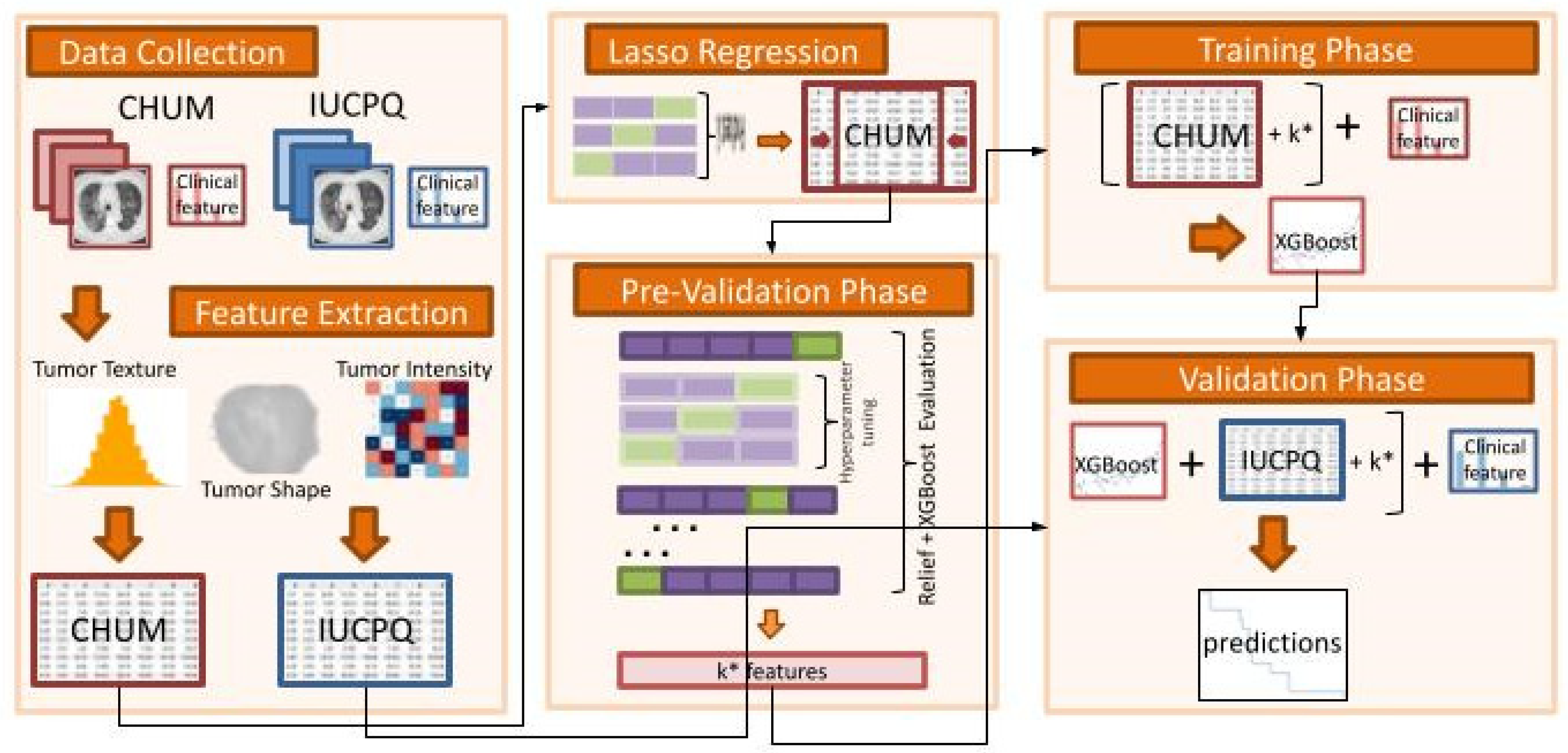 Cancers 15 03829 g001