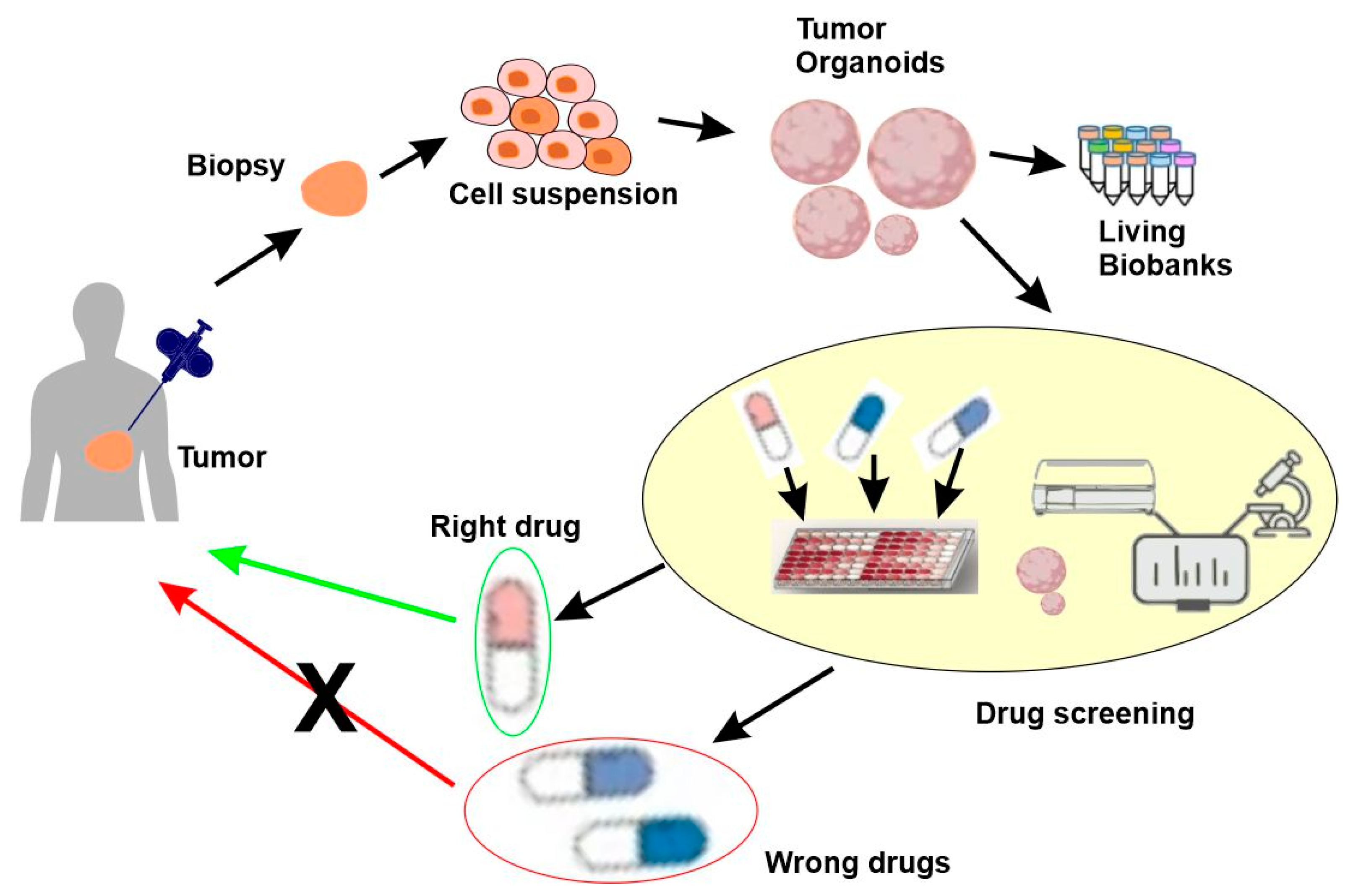 Cancers 15 03837 g009