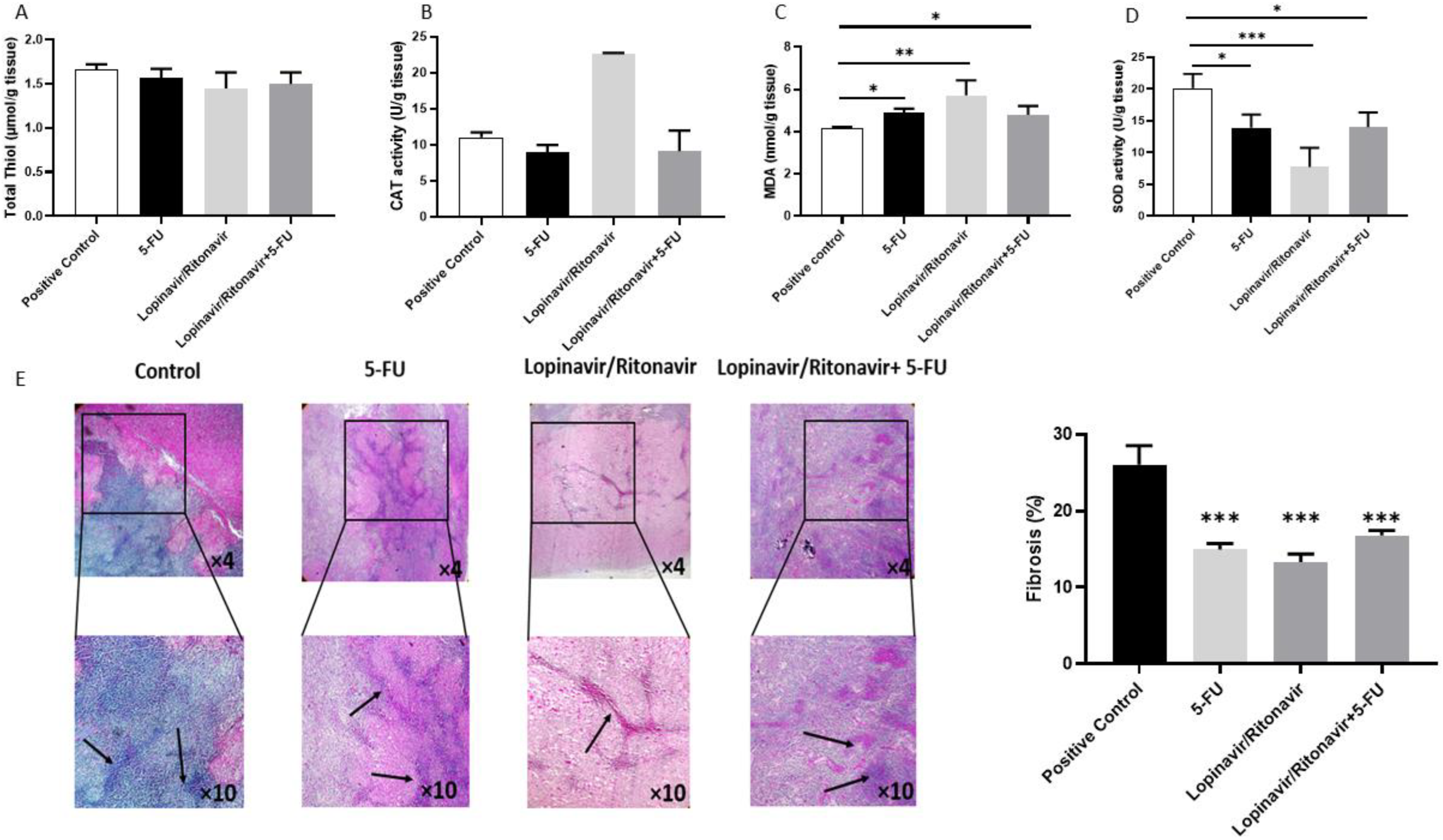 Cancers 15 03939 g005 Cancers 15 03939 g005