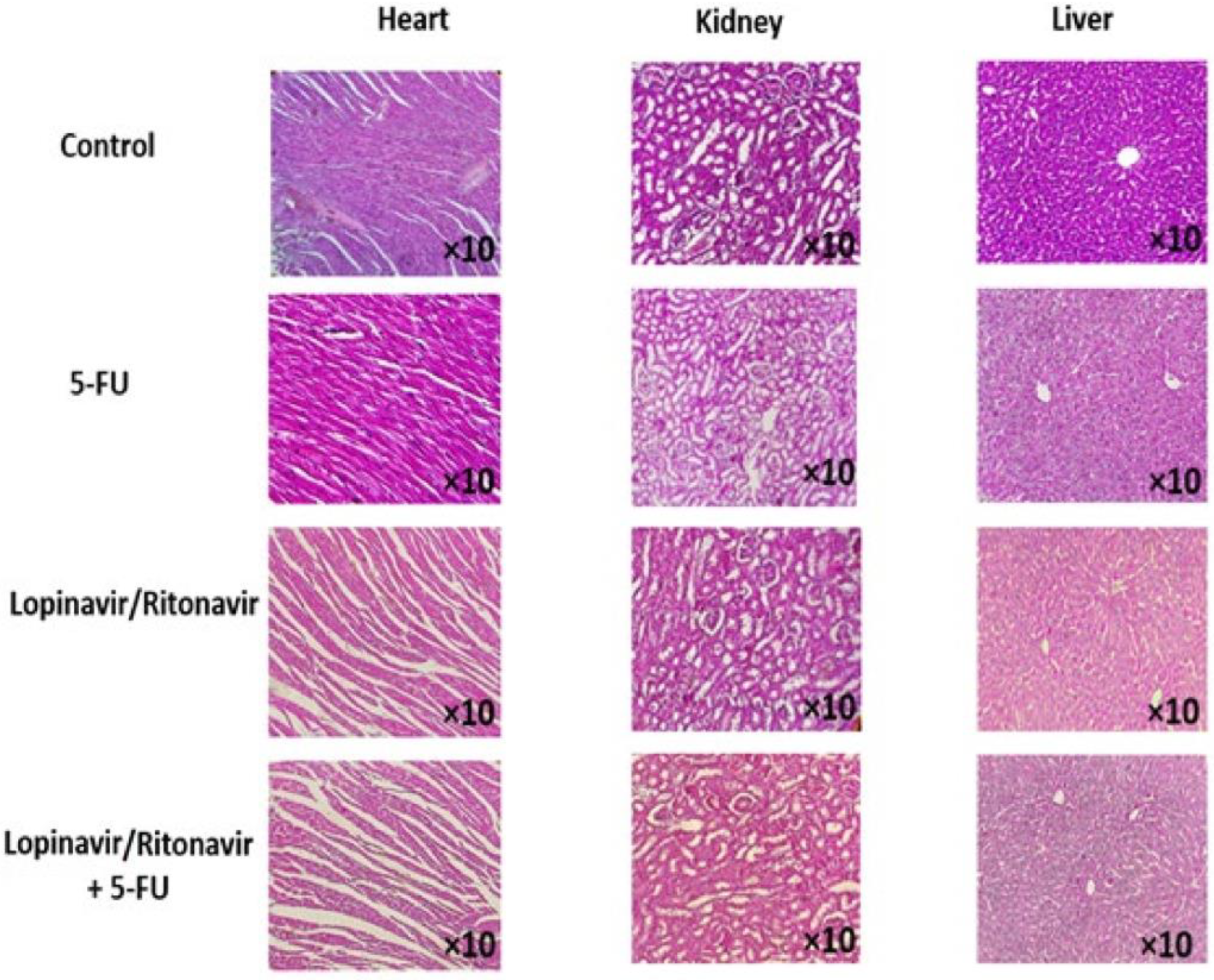Cancers 15 03939 g006 Cancers 15 03939 g006