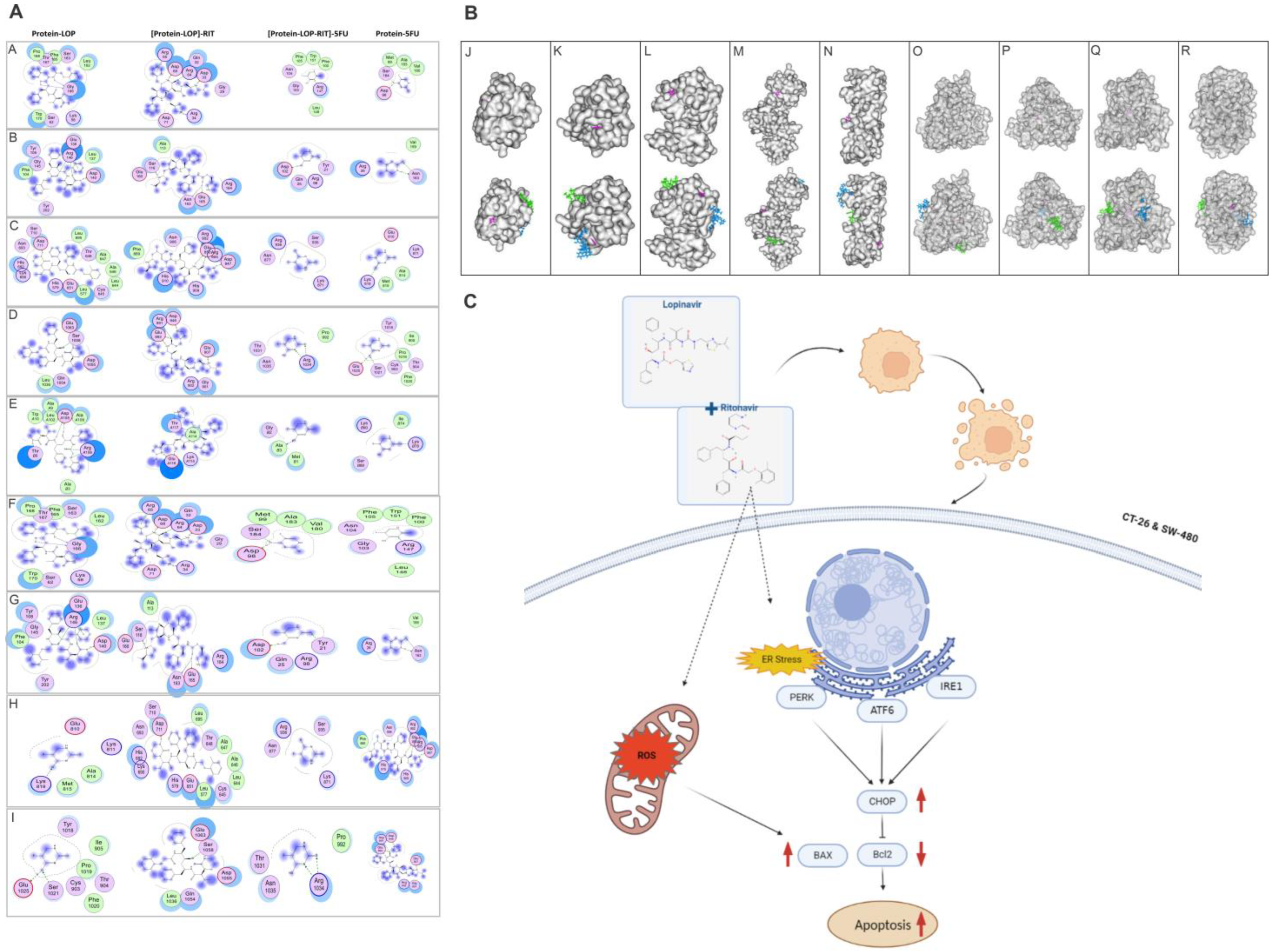 Cancers 15 03939 g007 Cancers 15 03939 g007