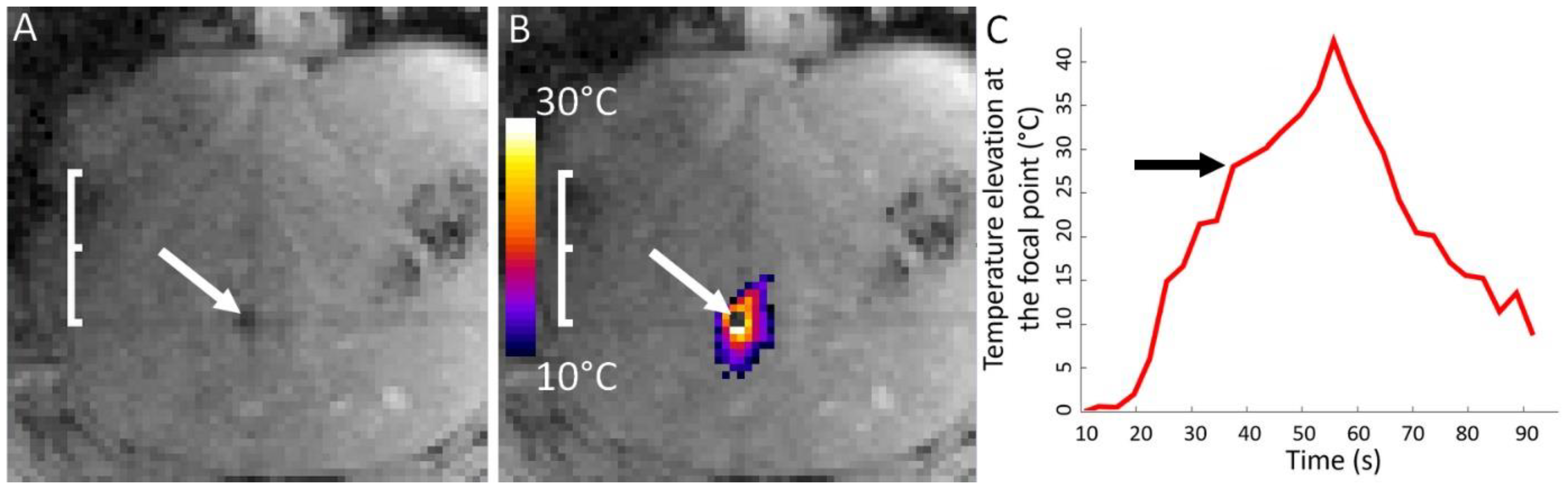 Cancers 15 03961 g005