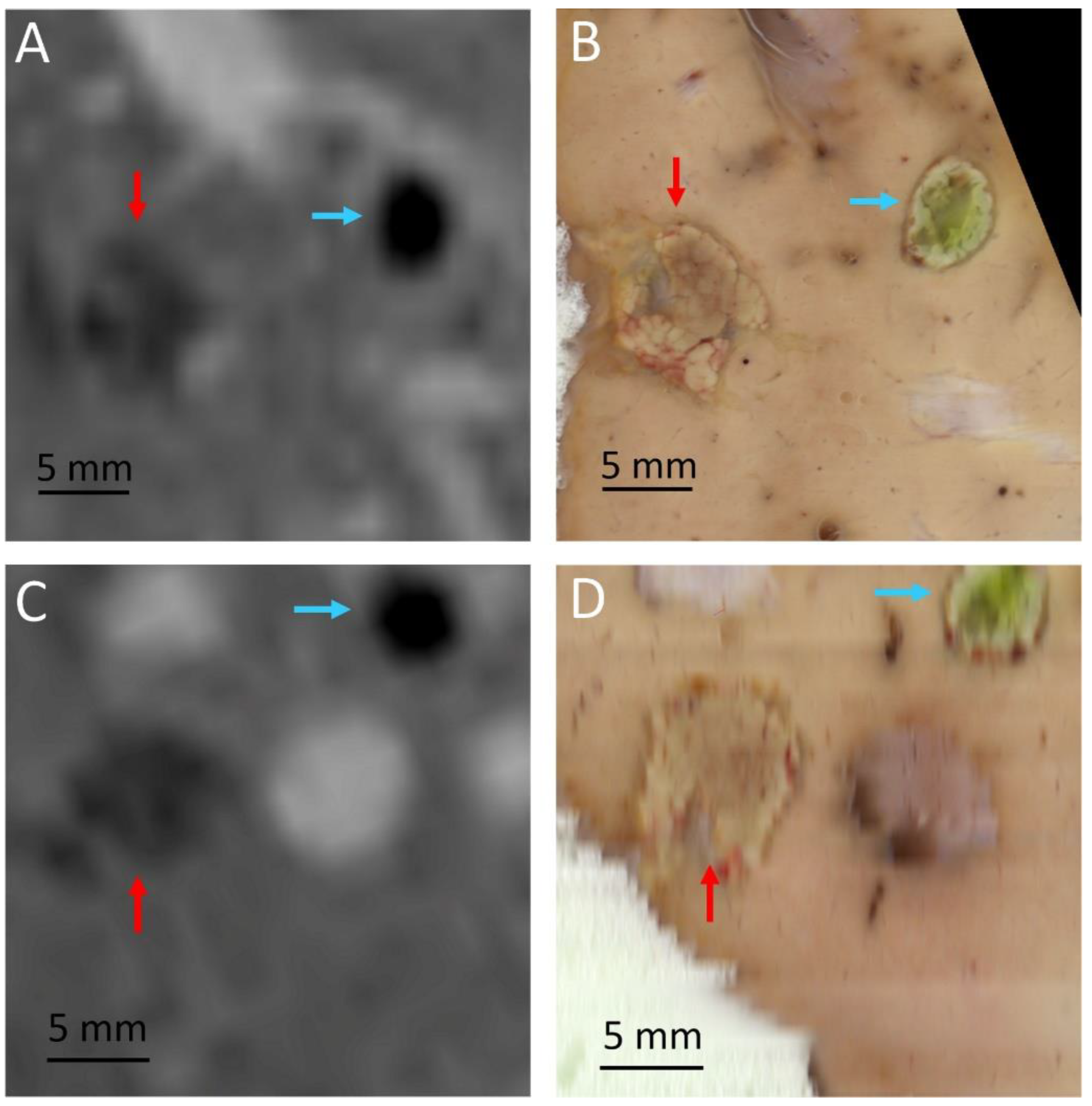 Cancers 15 03961 g006