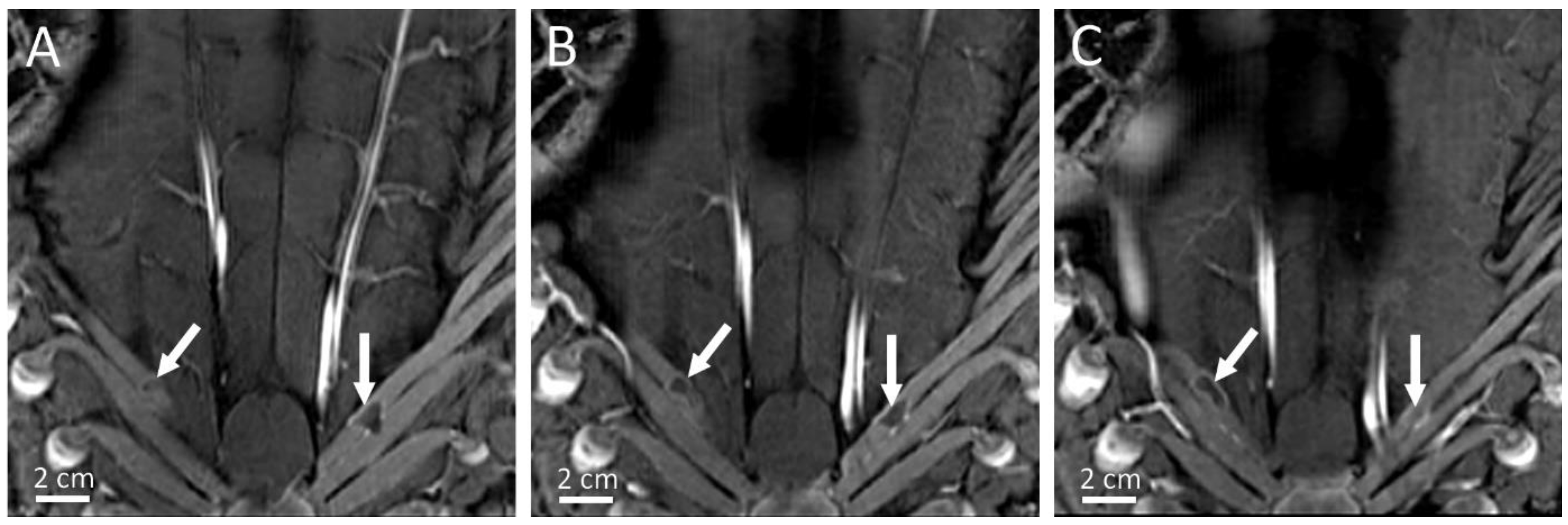 Cancers 15 03961 g008