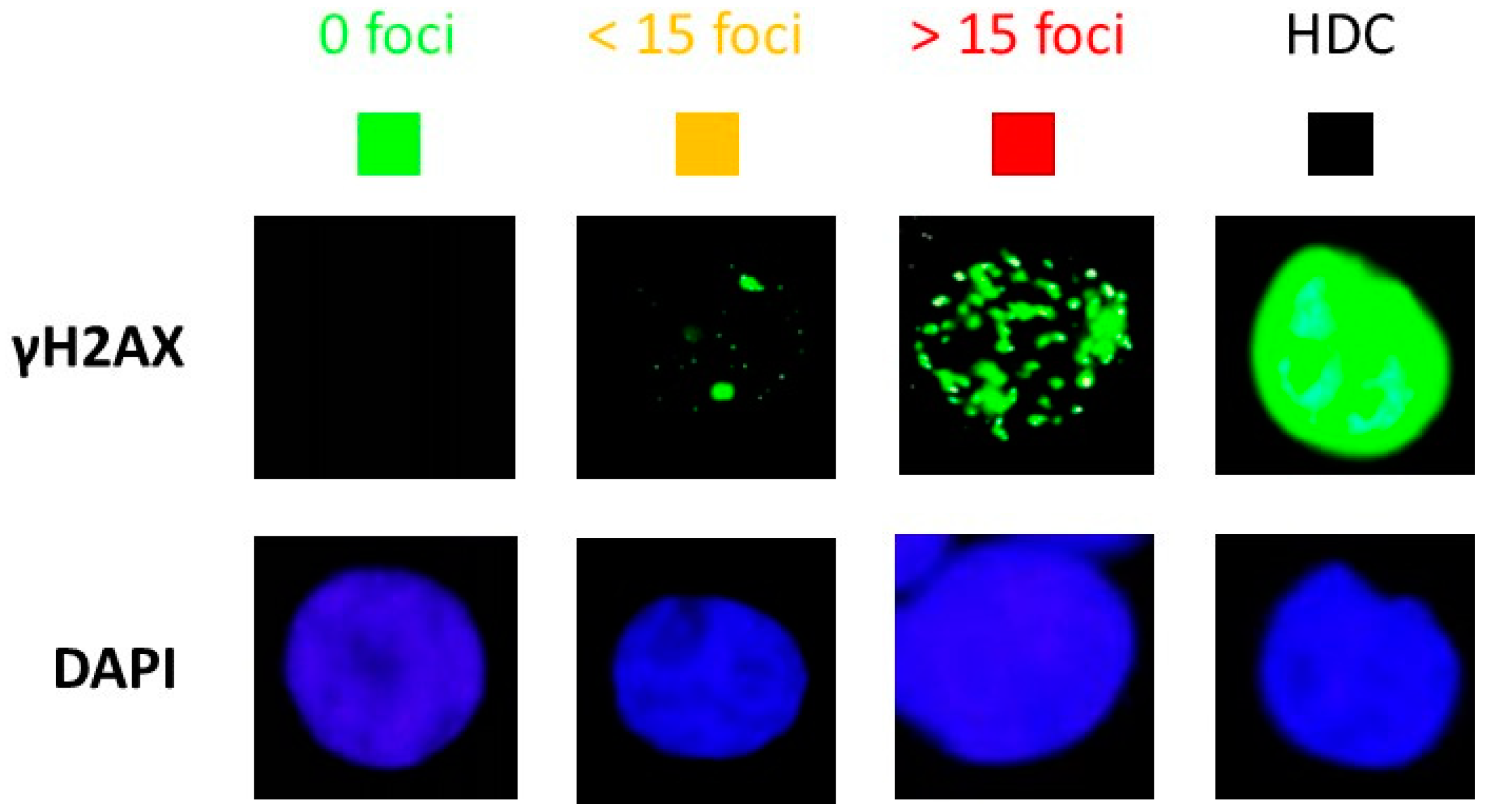 Cancers 15 03979 g006 Cancers 15 03979 g006
