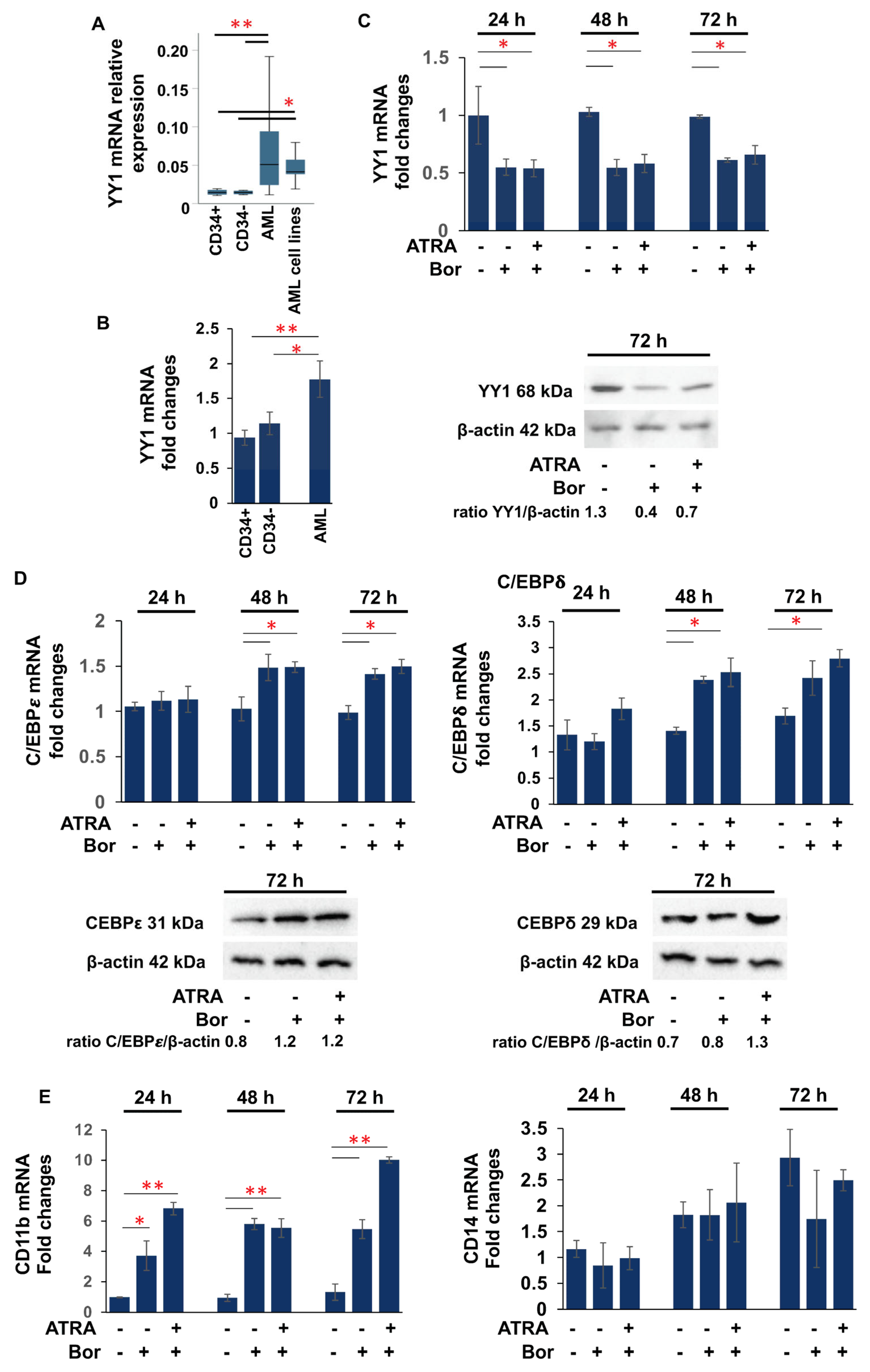 Cancers 15 04010 g001 Cancers 15 04010 g001