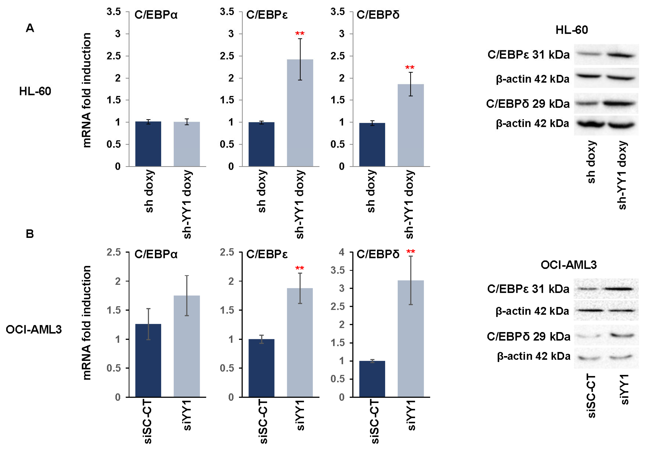 Cancers 15 04010 g003 Cancers 15 04010 g003