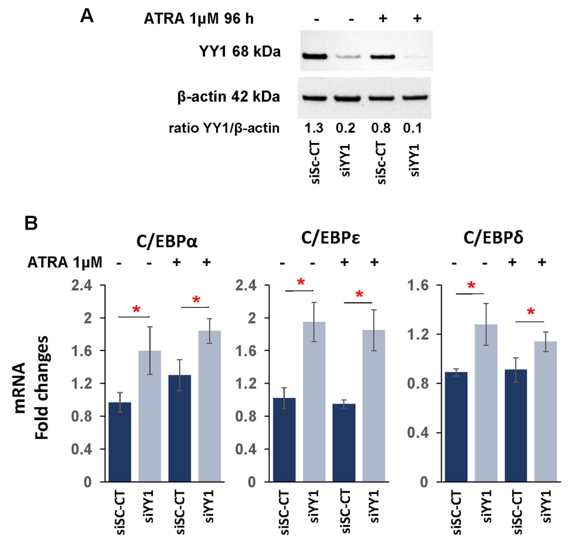Cancers 15 04010 g005 Cancers 15 04010 g005