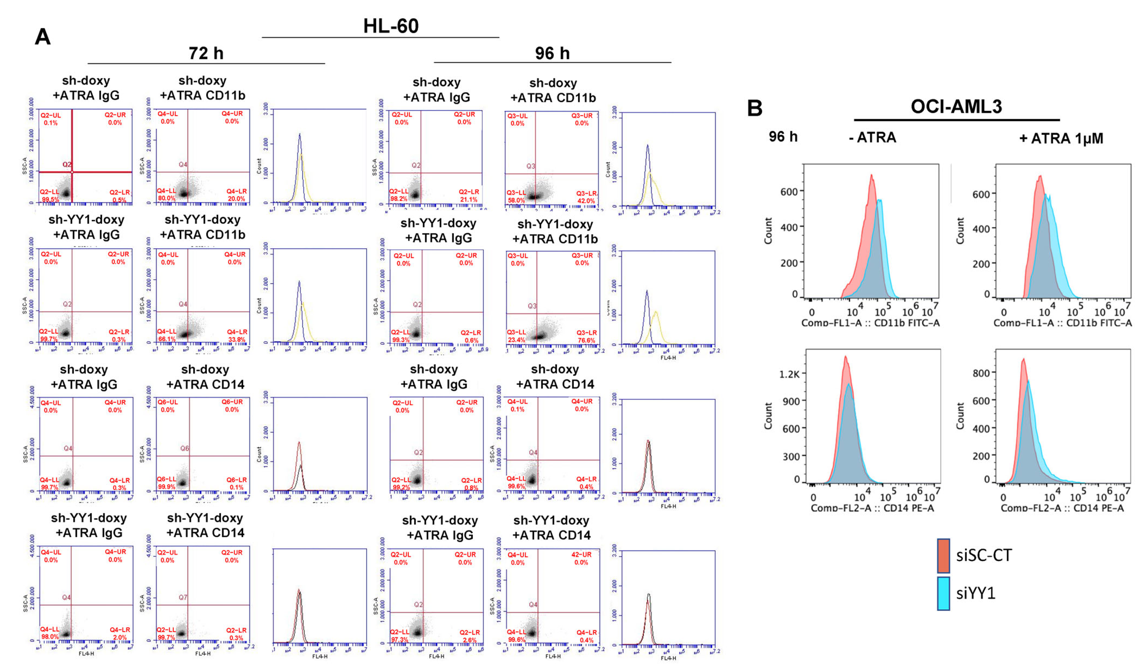 Cancers 15 04010 g007 Cancers 15 04010 g007