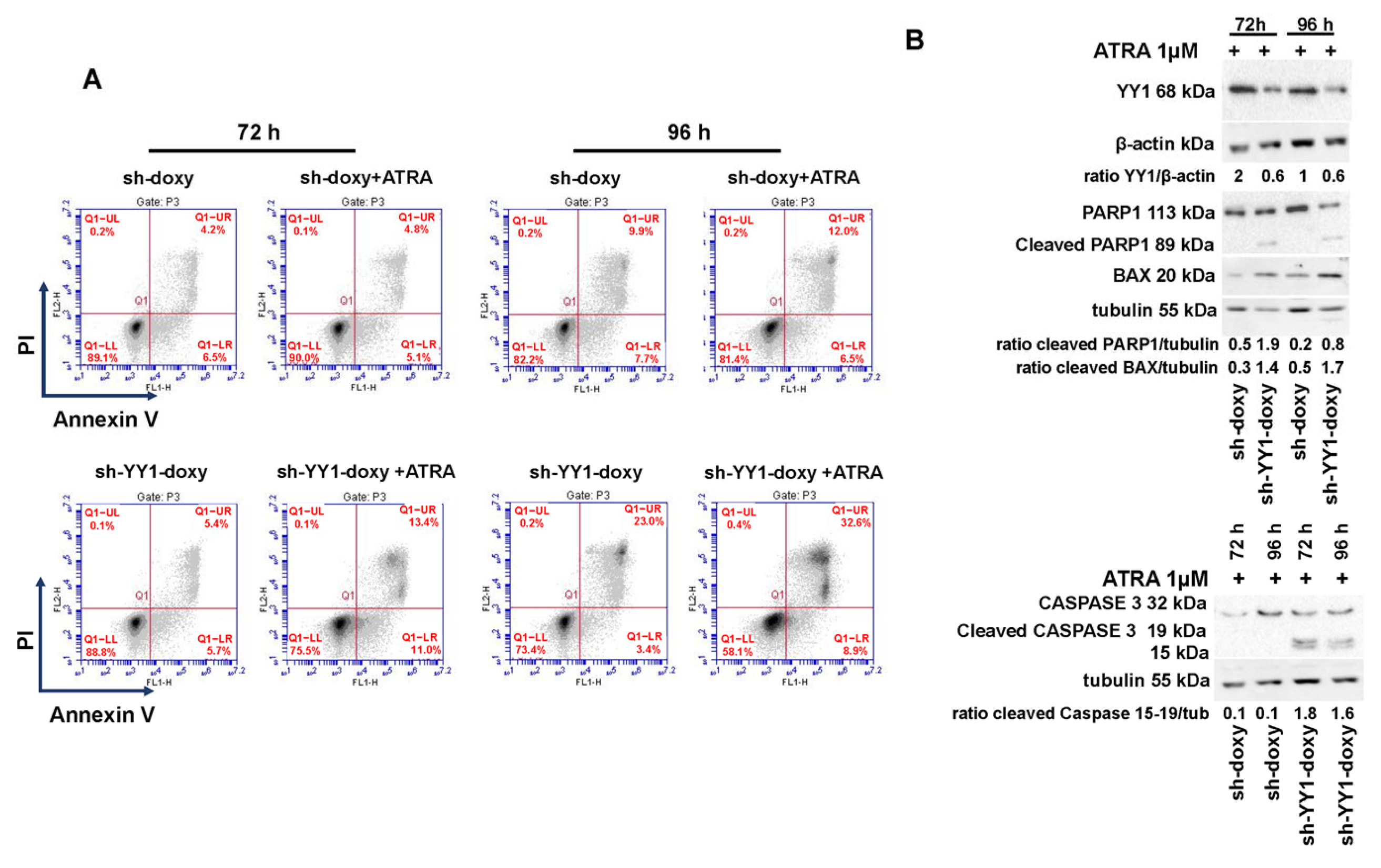 Cancers 15 04010 g010 Cancers 15 04010 g010