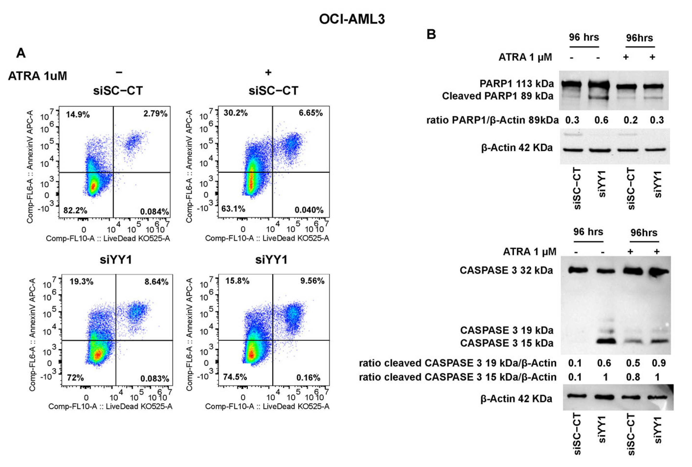 Cancers 15 04010 g011 Cancers 15 04010 g011