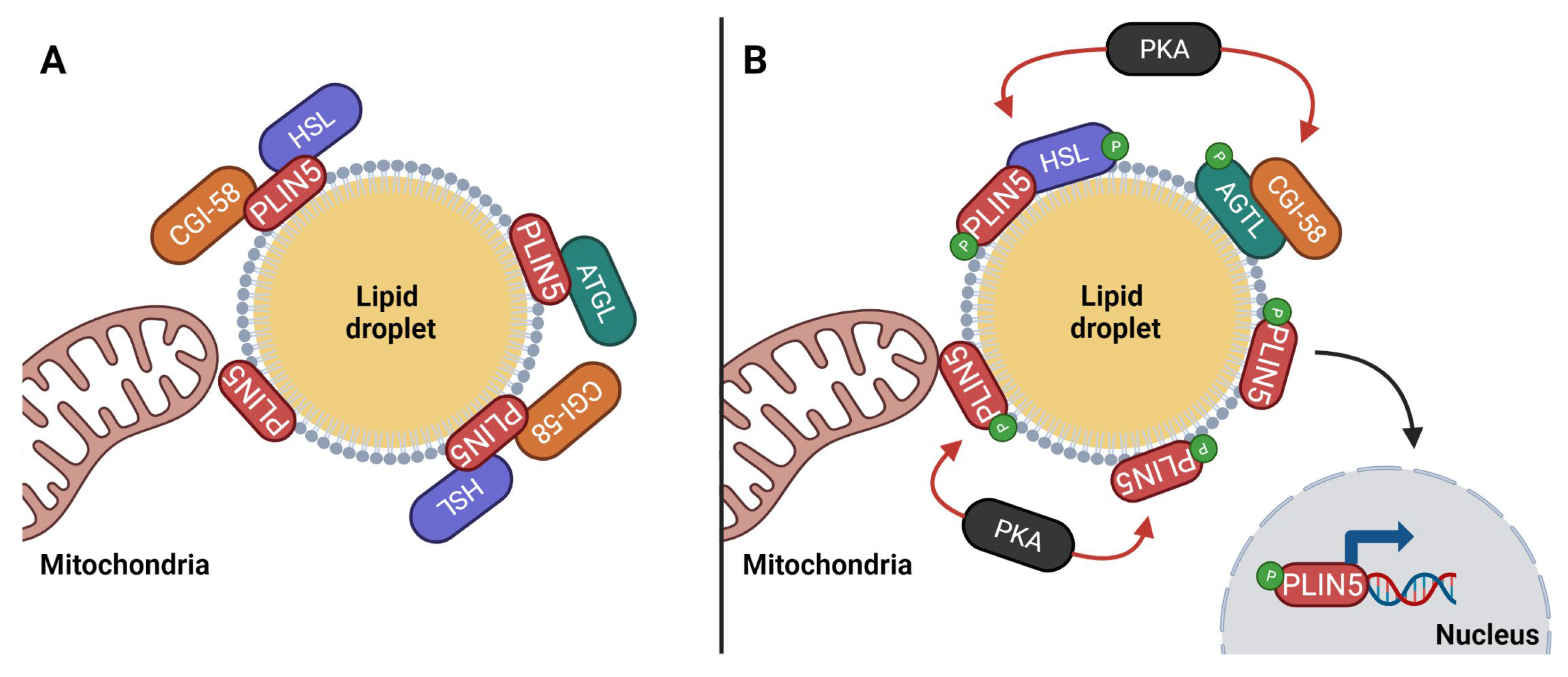 Cancers Free Full Text Challenges In Pharmacological Intervention