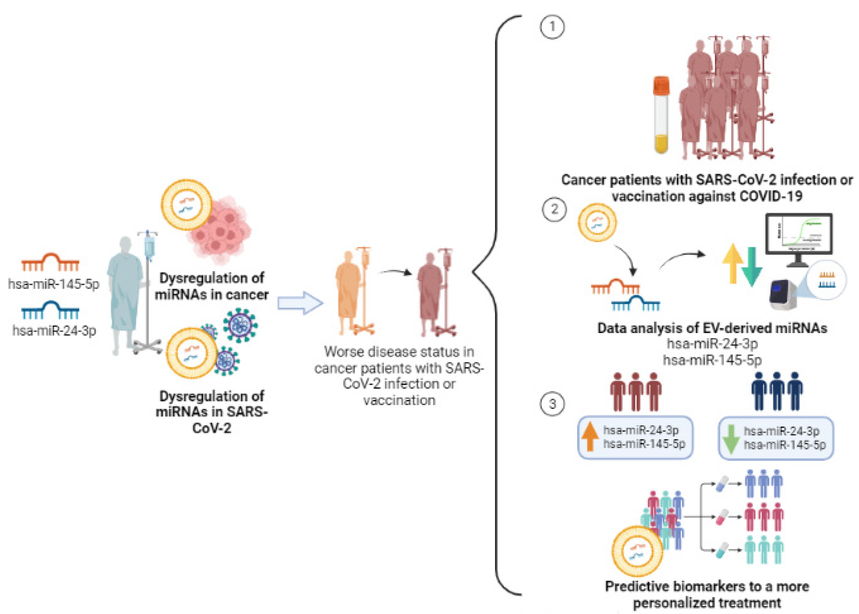 Cancers 15 04017 g002