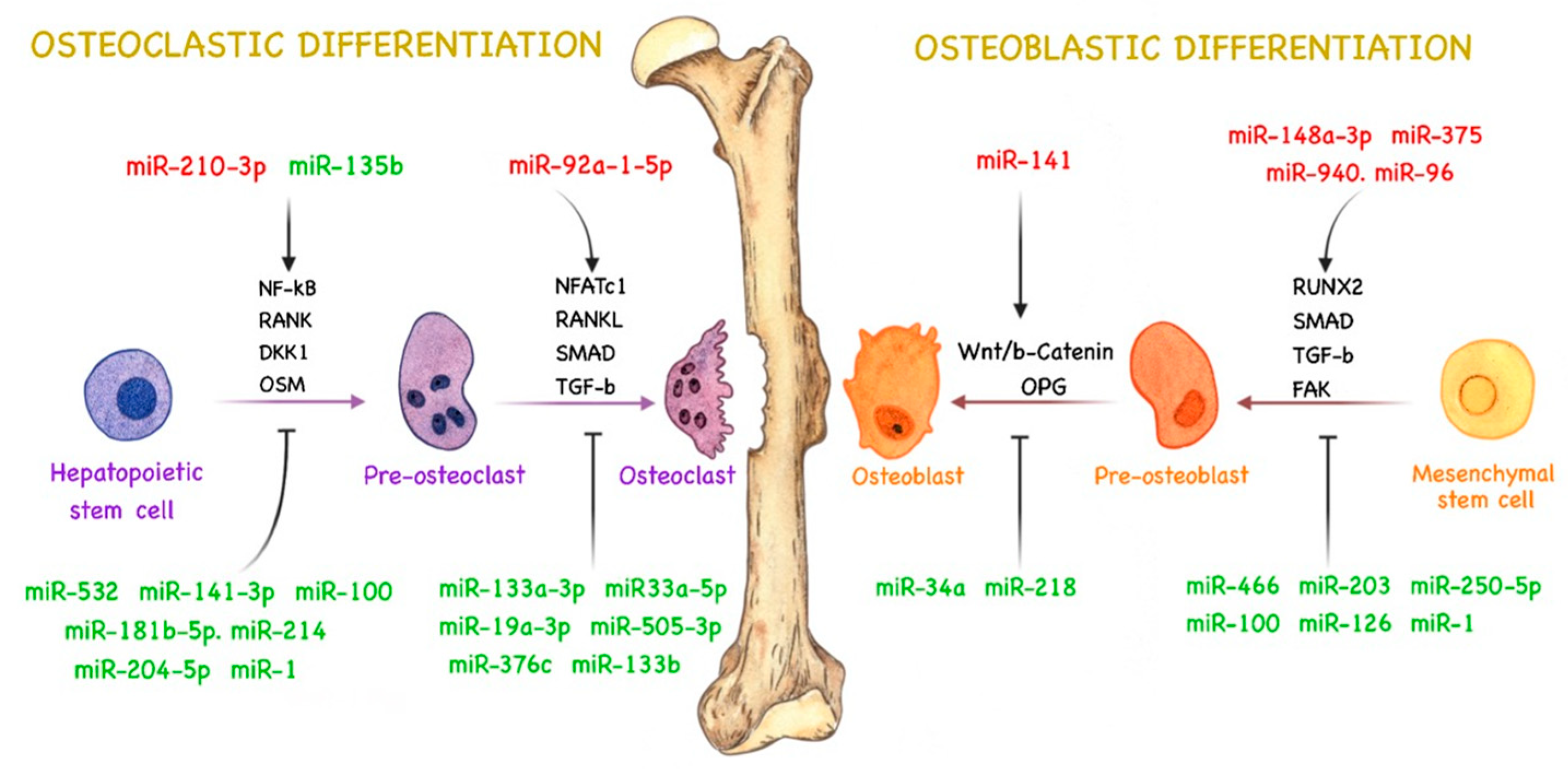 Cancers 15 04027 g001