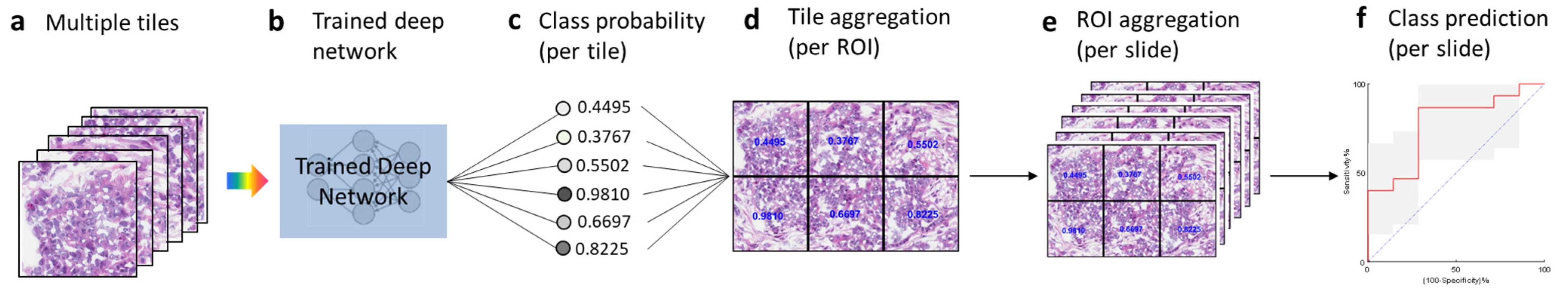 Cancers 15 04044 g002