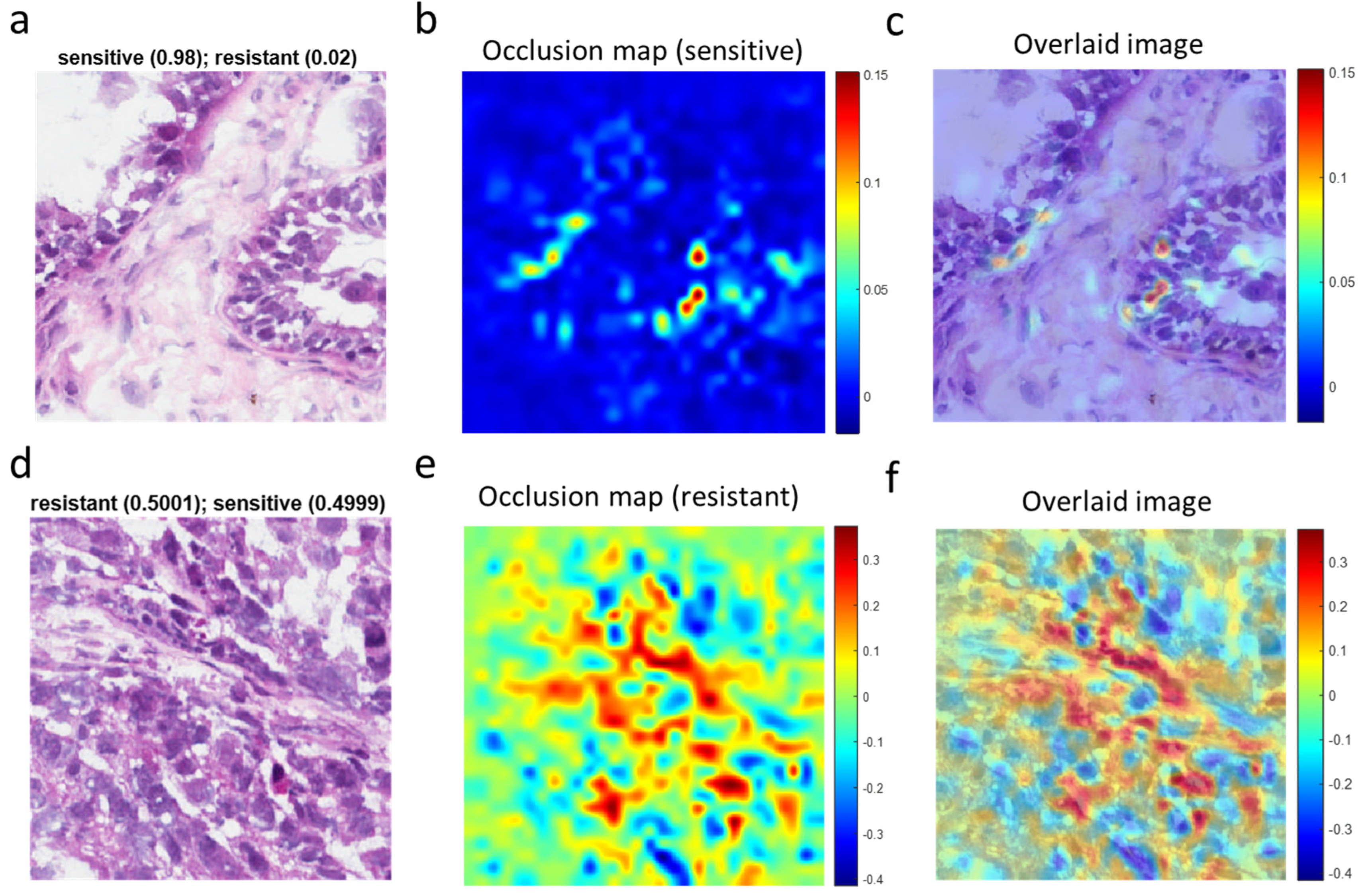 Cancers 15 04044 g005