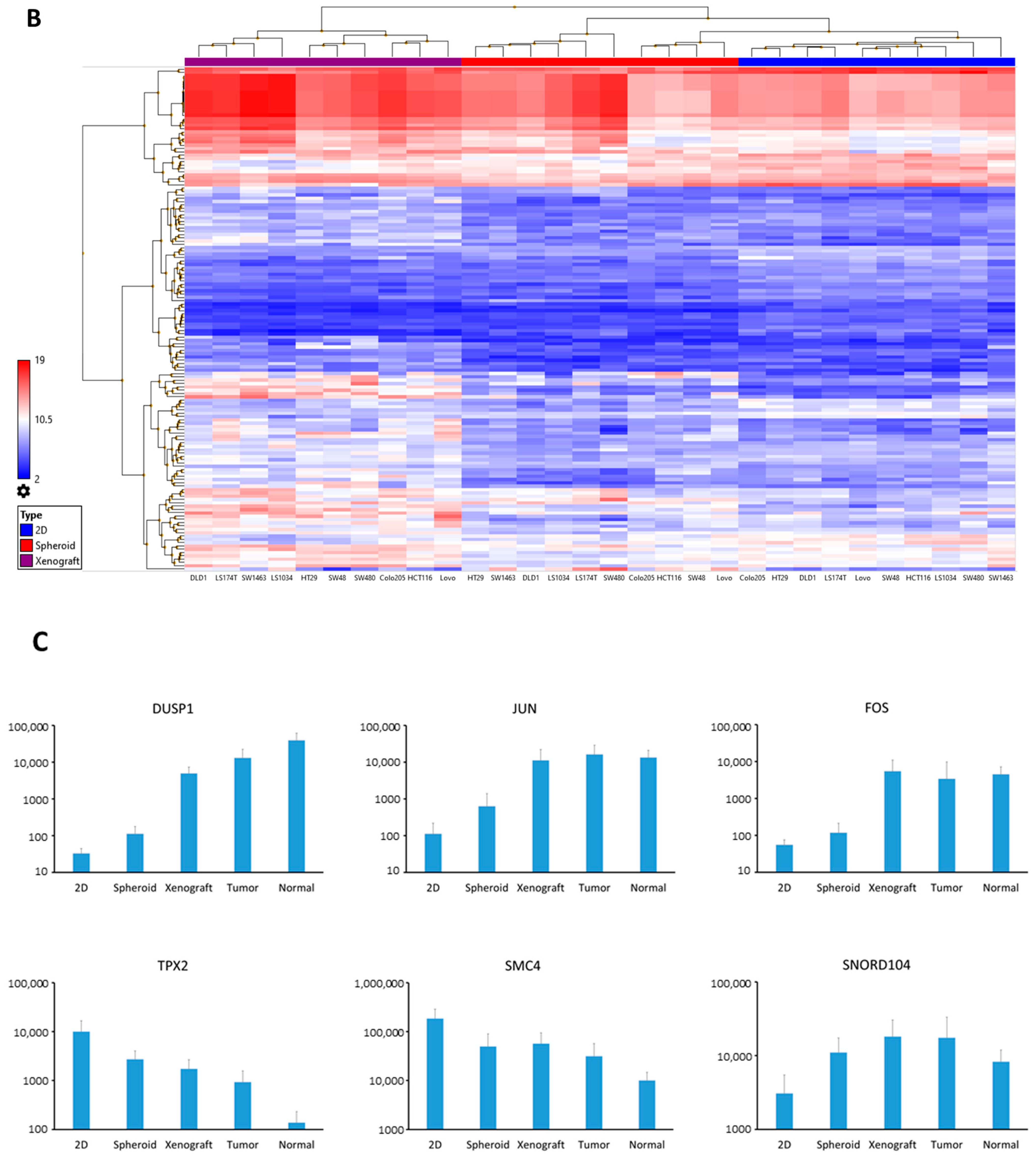 Single-cell and bulk transcriptome sequencing identifies two epithelial  tumor cell states and refines the consensus molecular classification of  colorectal cancer