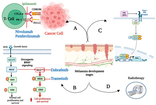 Cancers, Free Full-Text