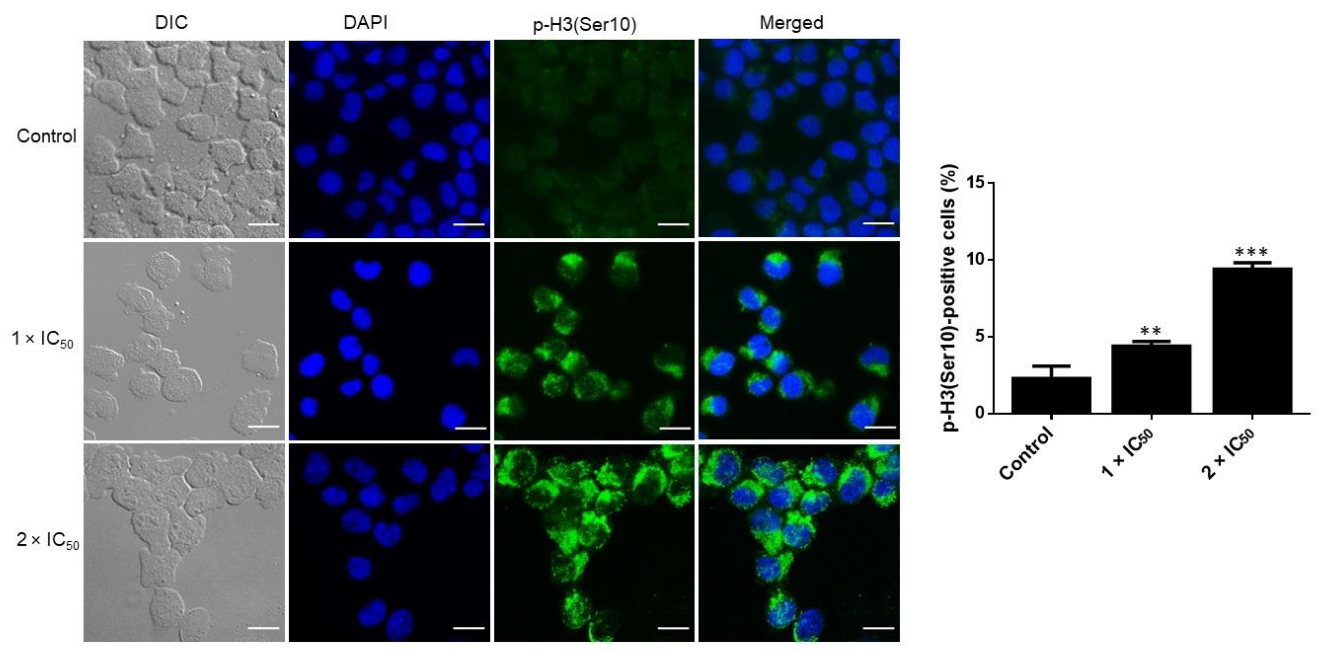 Cancers 15 04136 g007