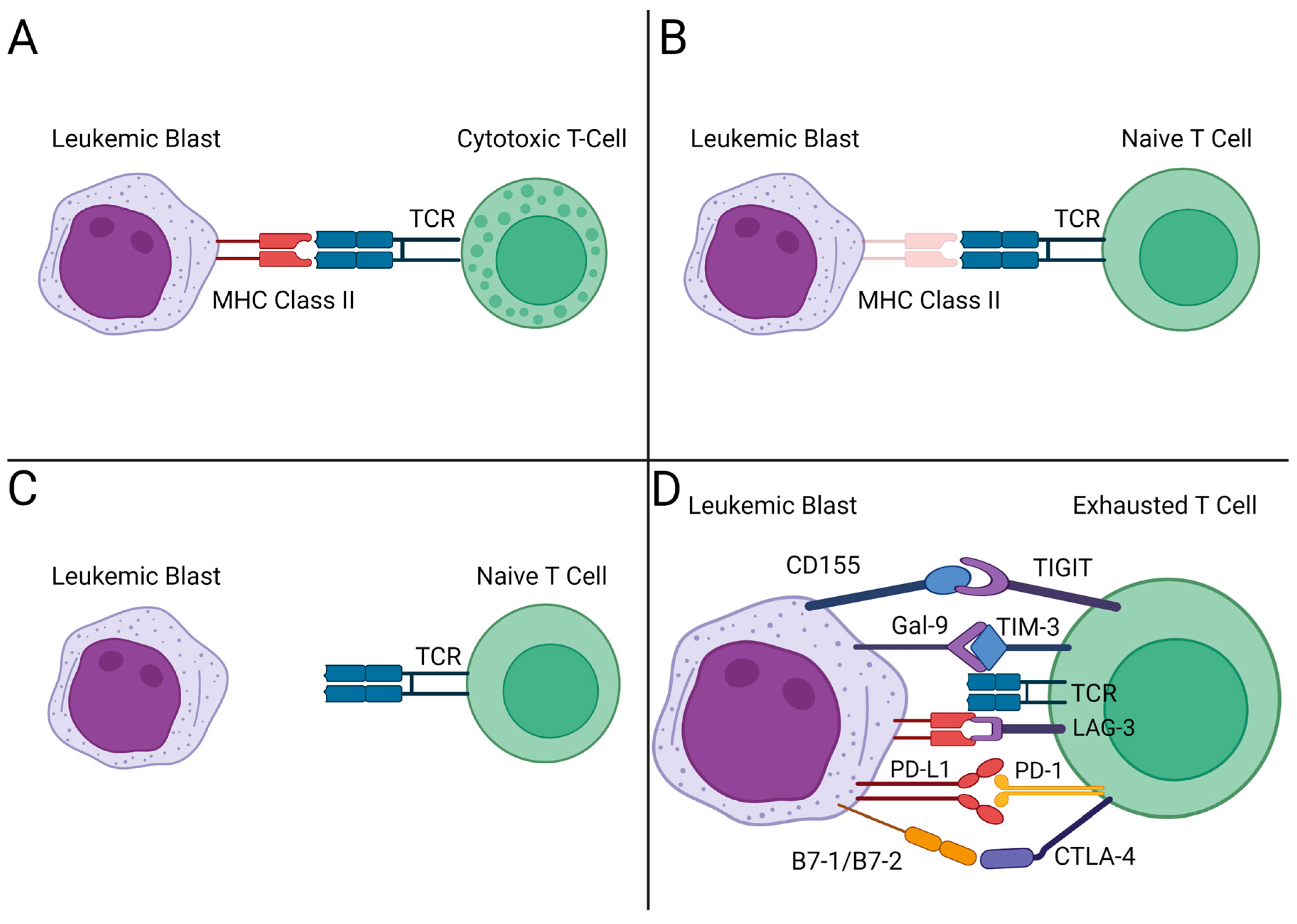 Cancers 15 04137 g003
