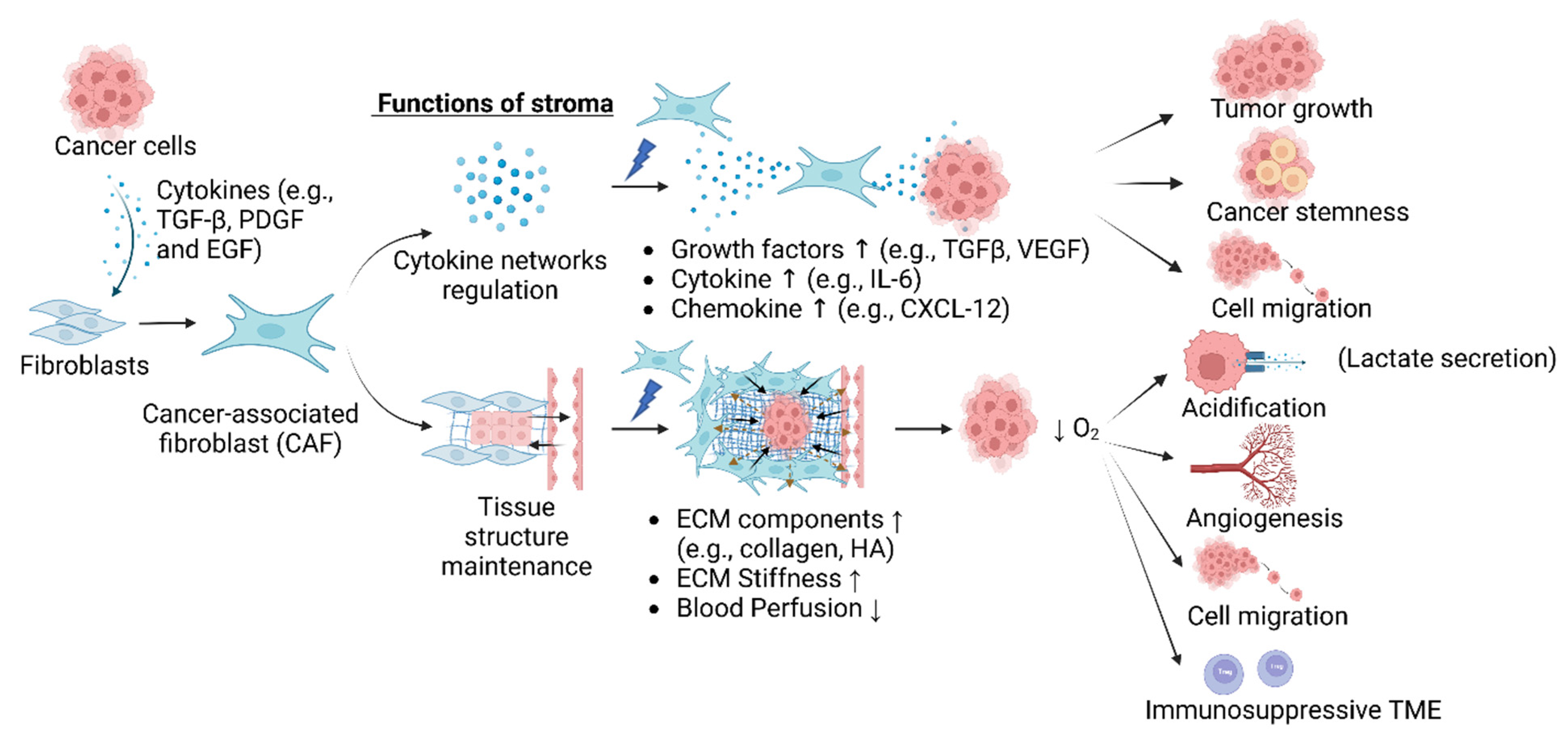 Cancers | Free Full-Text | Nanomedicine Strategies for Targeting 