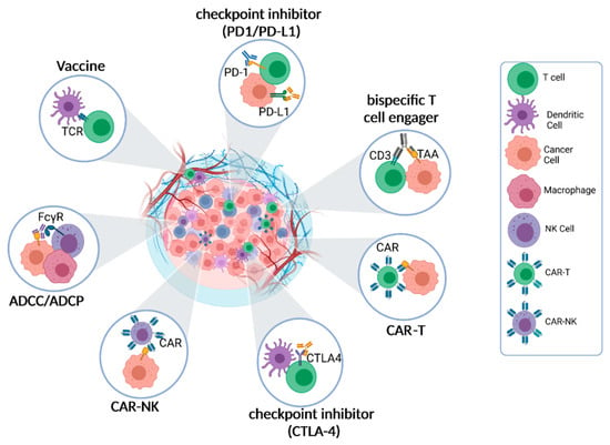 Cancers | Free Full-Text | Decoding the Complexity of Immune&ndash