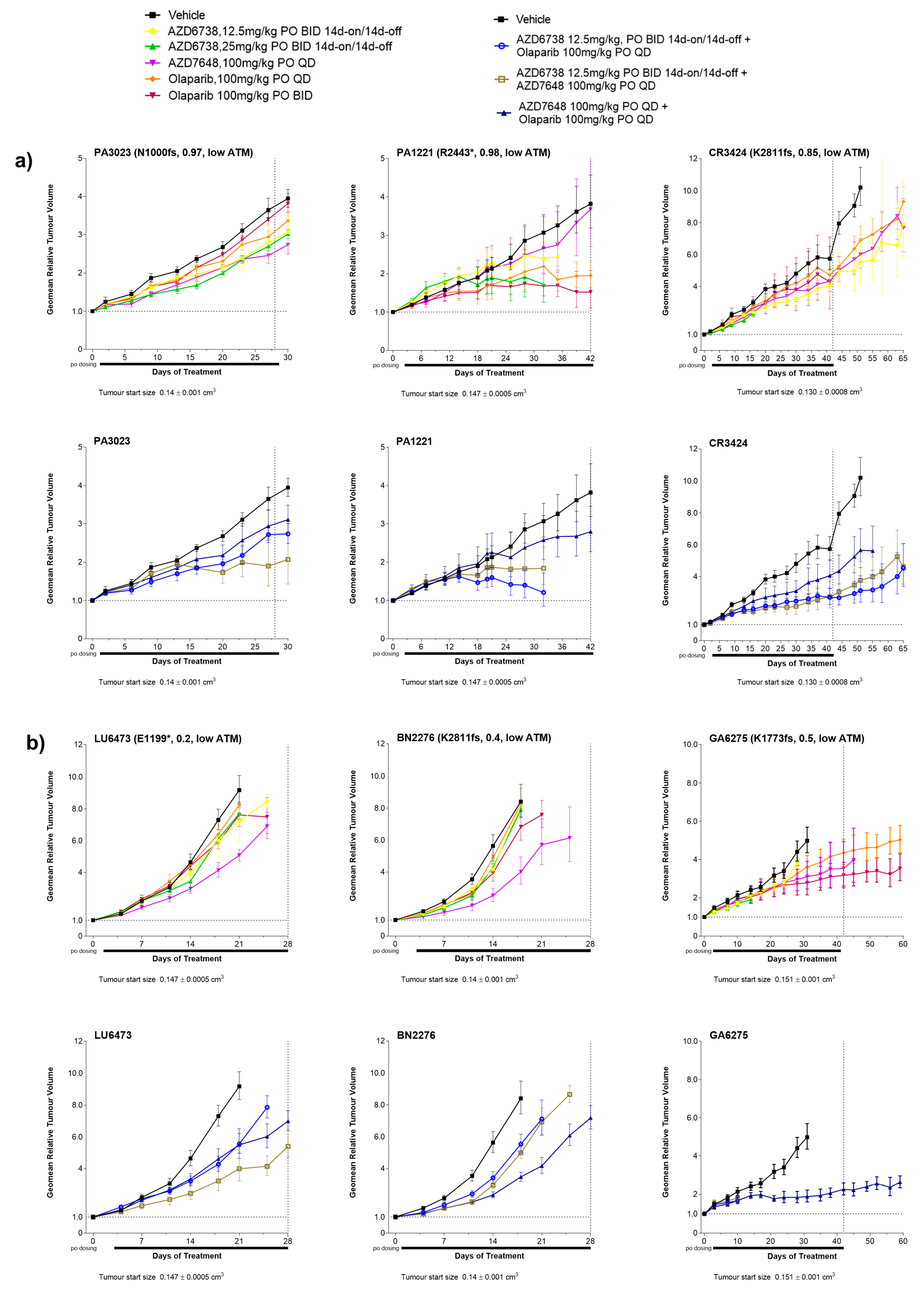 Cancers 15 04195 g004