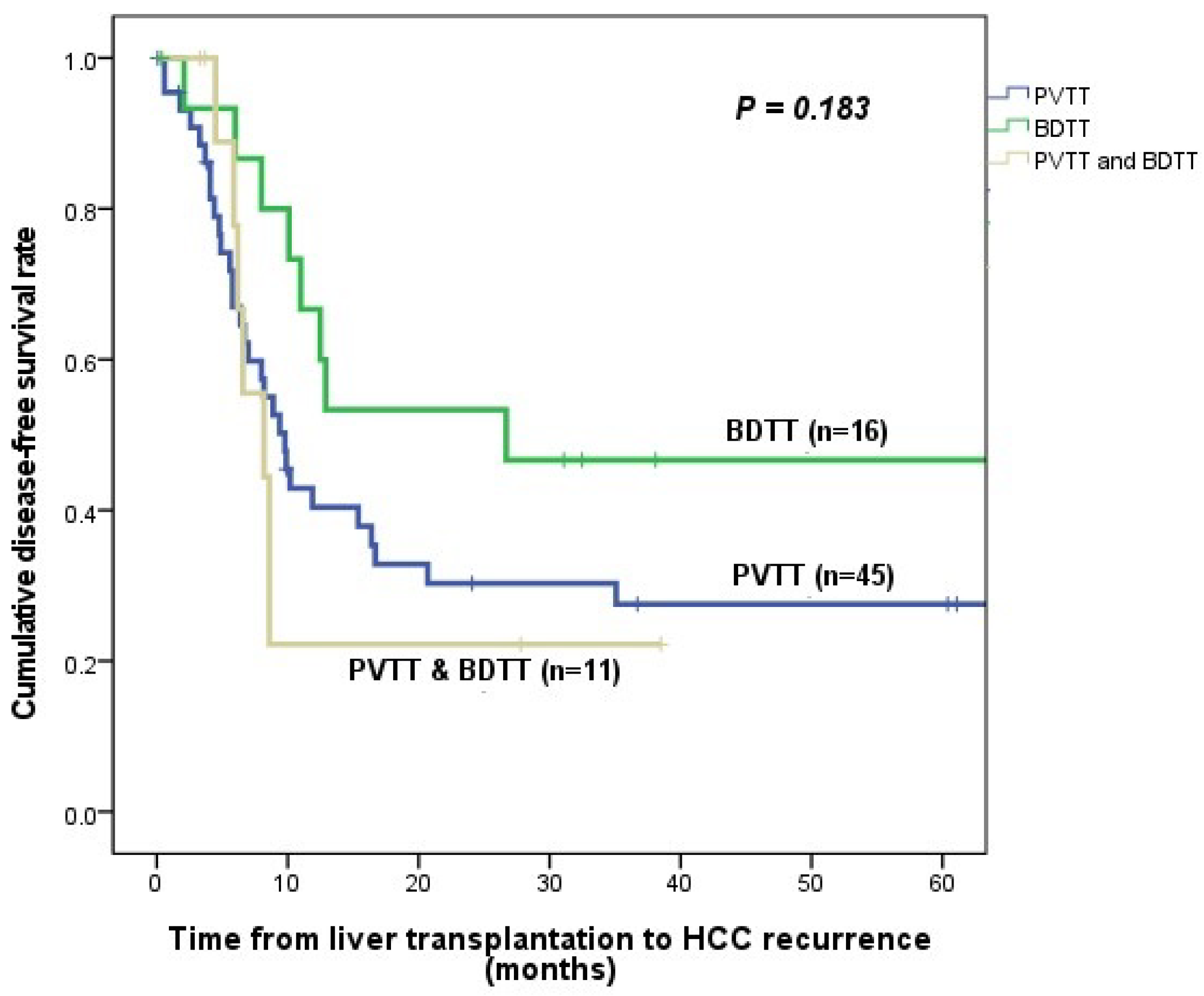 Cancers 15 04225 g001 Cancers 15 04225 g001