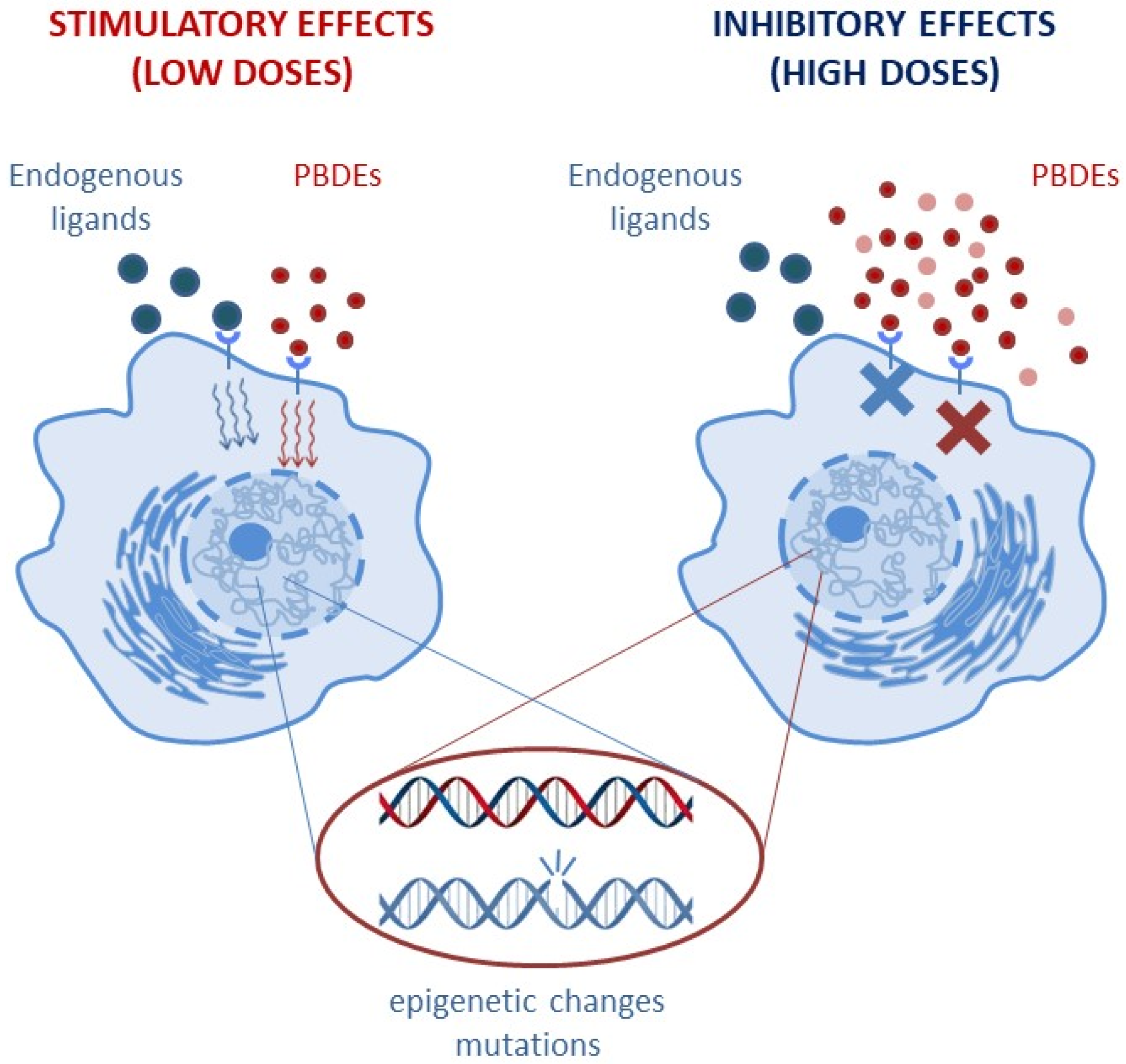 Cancers 15 04237 g002